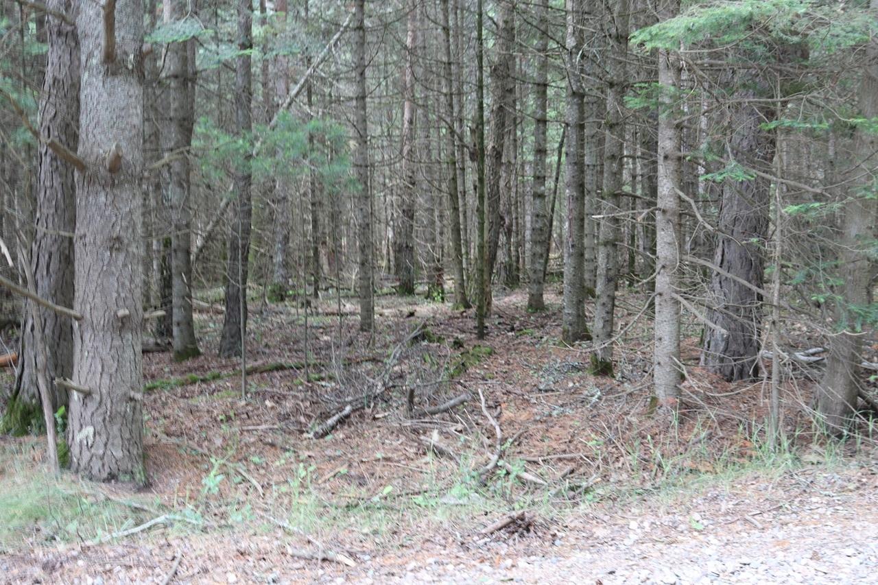 Lot 4 Cth J Mercer, WI 54547 - Photo 2 of 15 Gallery Image 2