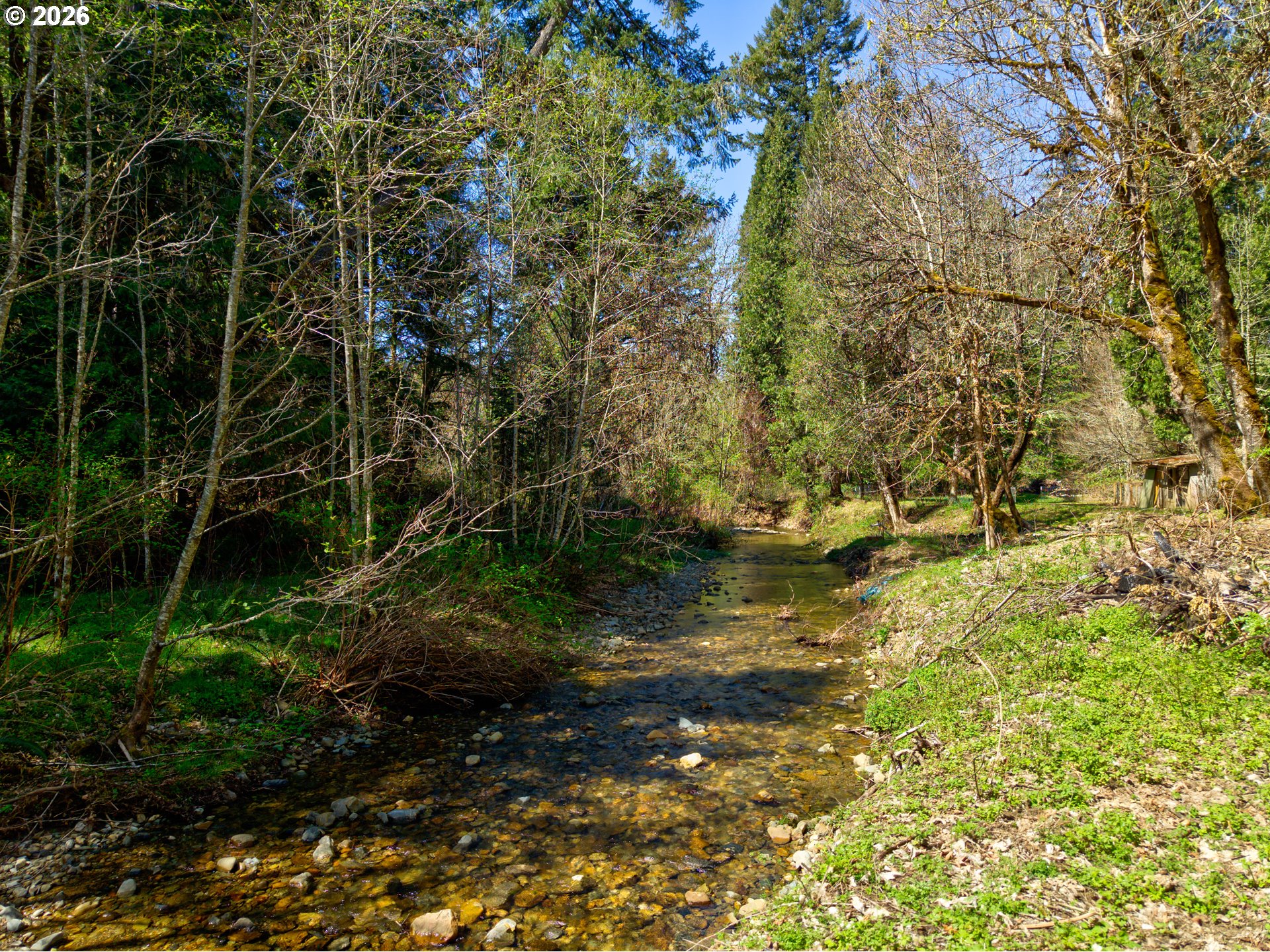 1293 Starveout Creek Road Azalea, OR 97410 - Photo 42 of 48 Creek