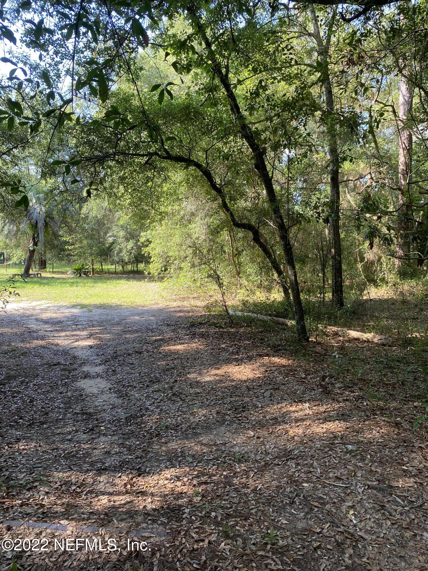 0 Gustafson Road Keystone Heights, FL 32656 - Photo 3 of 3 IMG_0969