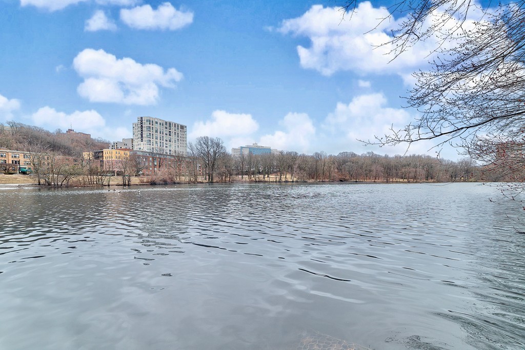 33 Pond Avenue, Unit 411 Brookline, MA 02445 - Photo 32 of 33