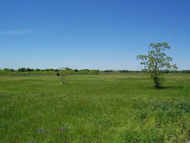 12811 Maha Loop Road Austin, TX 78719 - Photo 1 of 1