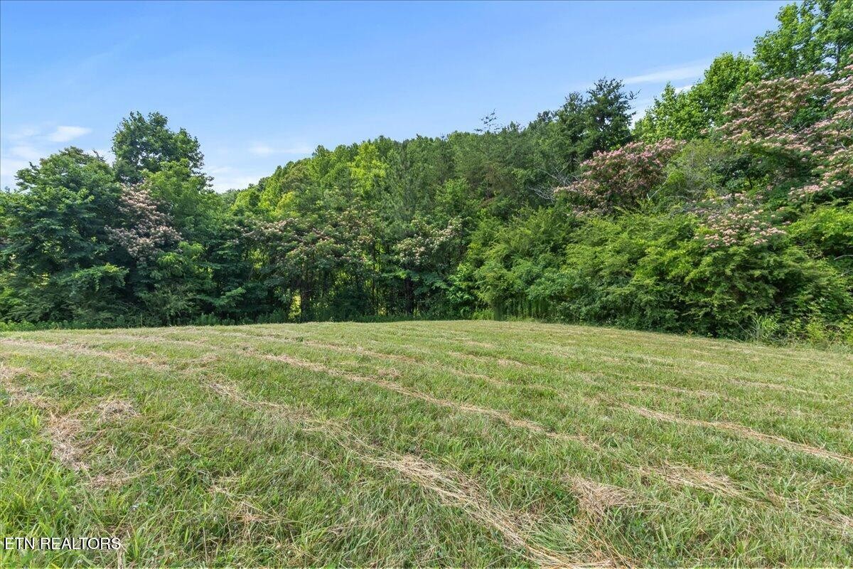 982 Wilson Station Road Madisonville, TN 37354 - Photo 43 of 46