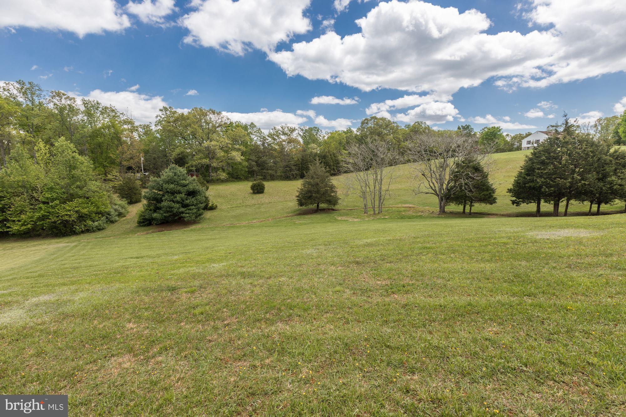 14065 Micah Road Rixeyville, VA 22737 - Photo 38 of 40 a view of a field with an trees