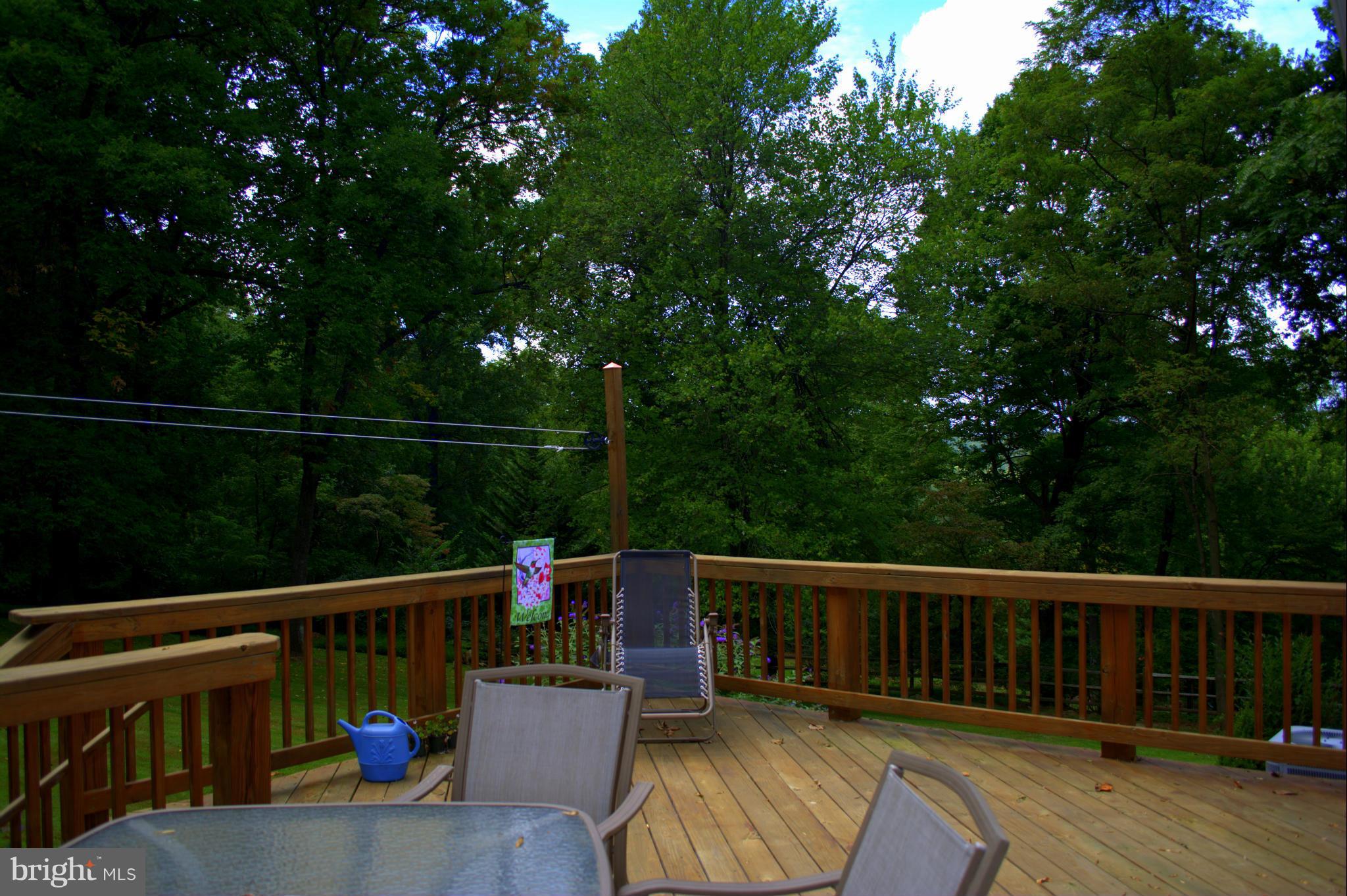 310 High Knob Road Front Royal, VA 22630 - Photo 3 of 30 a view of a deck