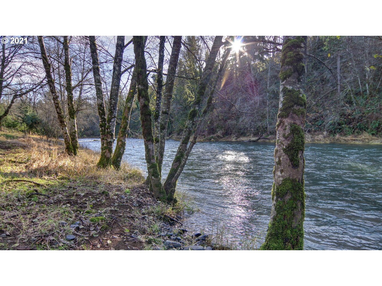 21865 Blaine Road Beaver, OR 97108 - Photo 6 of 32 Gallery Image 6