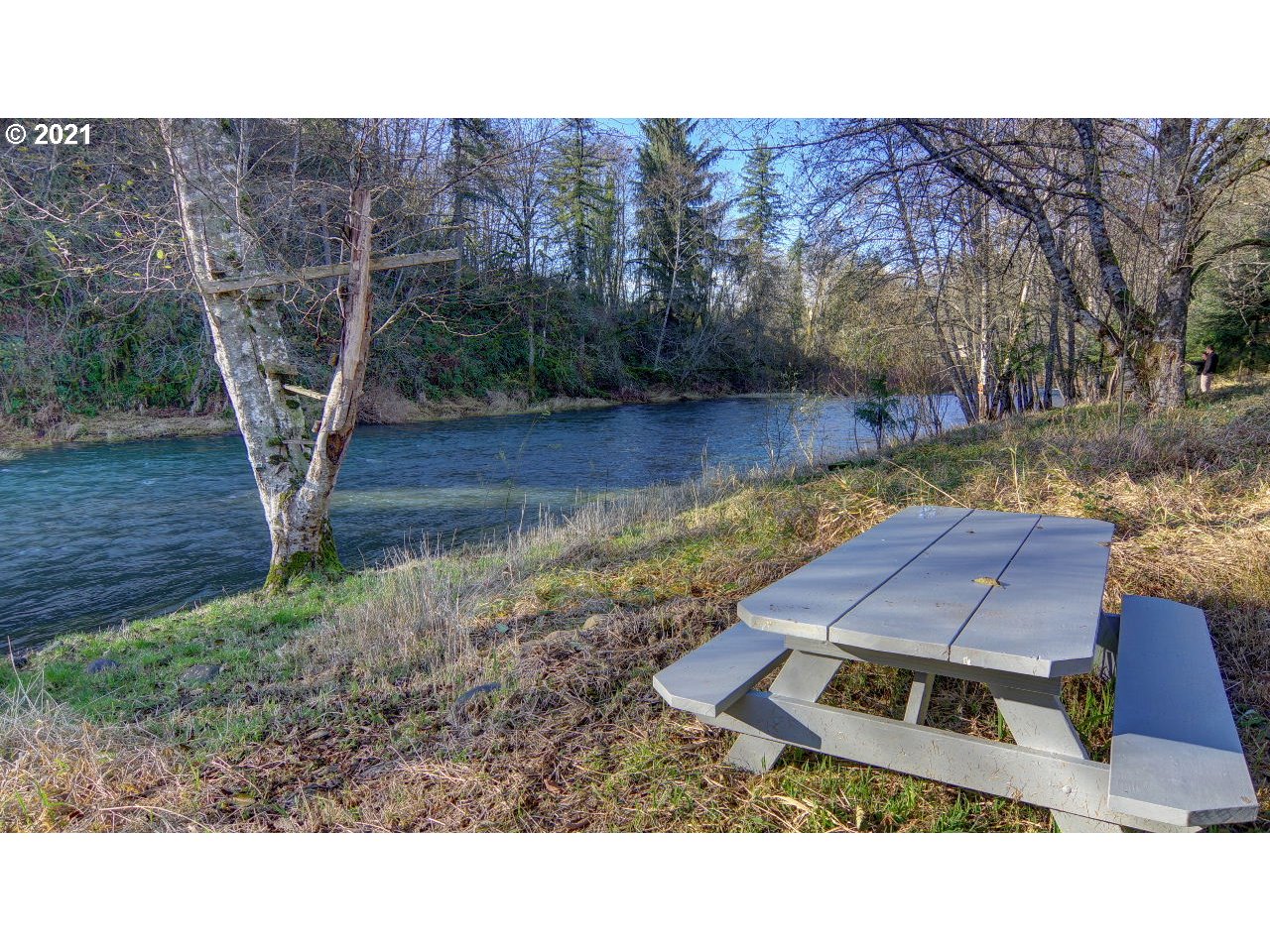 21865 Blaine Road Beaver, OR 97108 - Photo 9 of 32 Gallery Image 9
