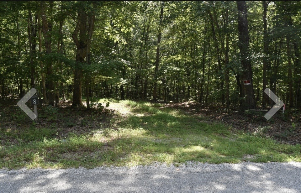 0 Stage Coach Road Sewanee, TN 37375 - Photo 6 of 50 Gallery Image 6