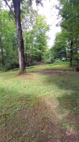 a view of outdoor space and yard