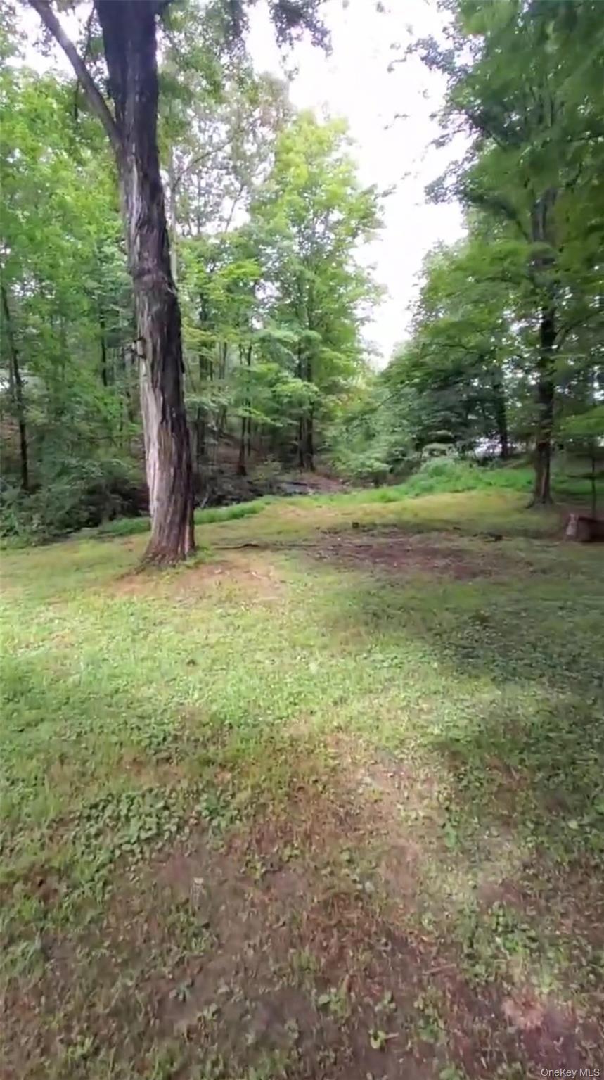 257 Lake Road Salisbury Mills, NY 12577 - Photo 21 of 30 a view of outdoor space and yard