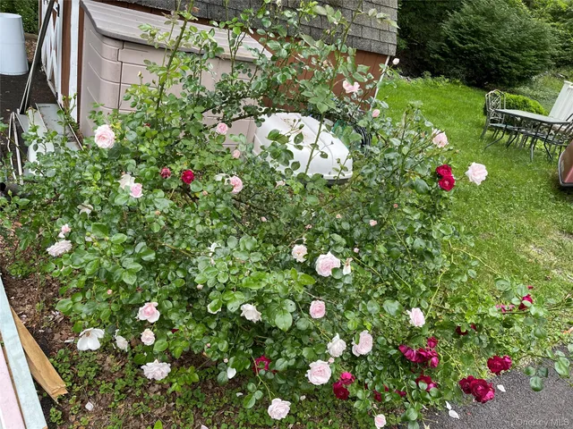 a picture of flowers