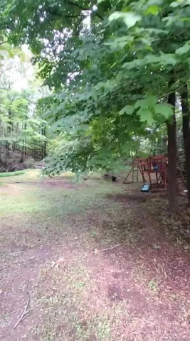a view of a yard with lots of green space