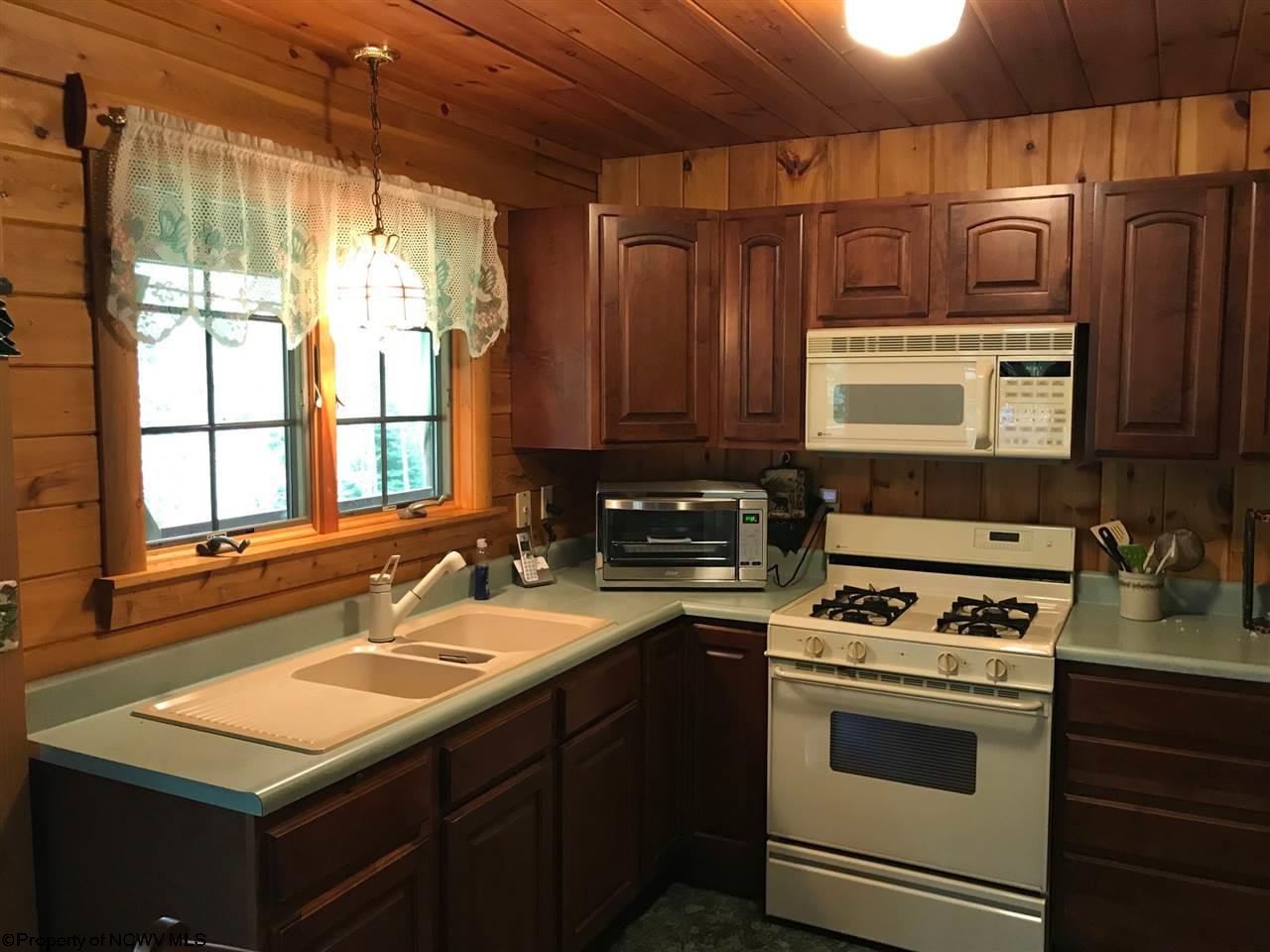 101 Snapping Turtle Lane Davis, WV 26260 - Photo 14 of 20 Gallery Image 14