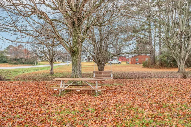 a view of a yard with tree s
