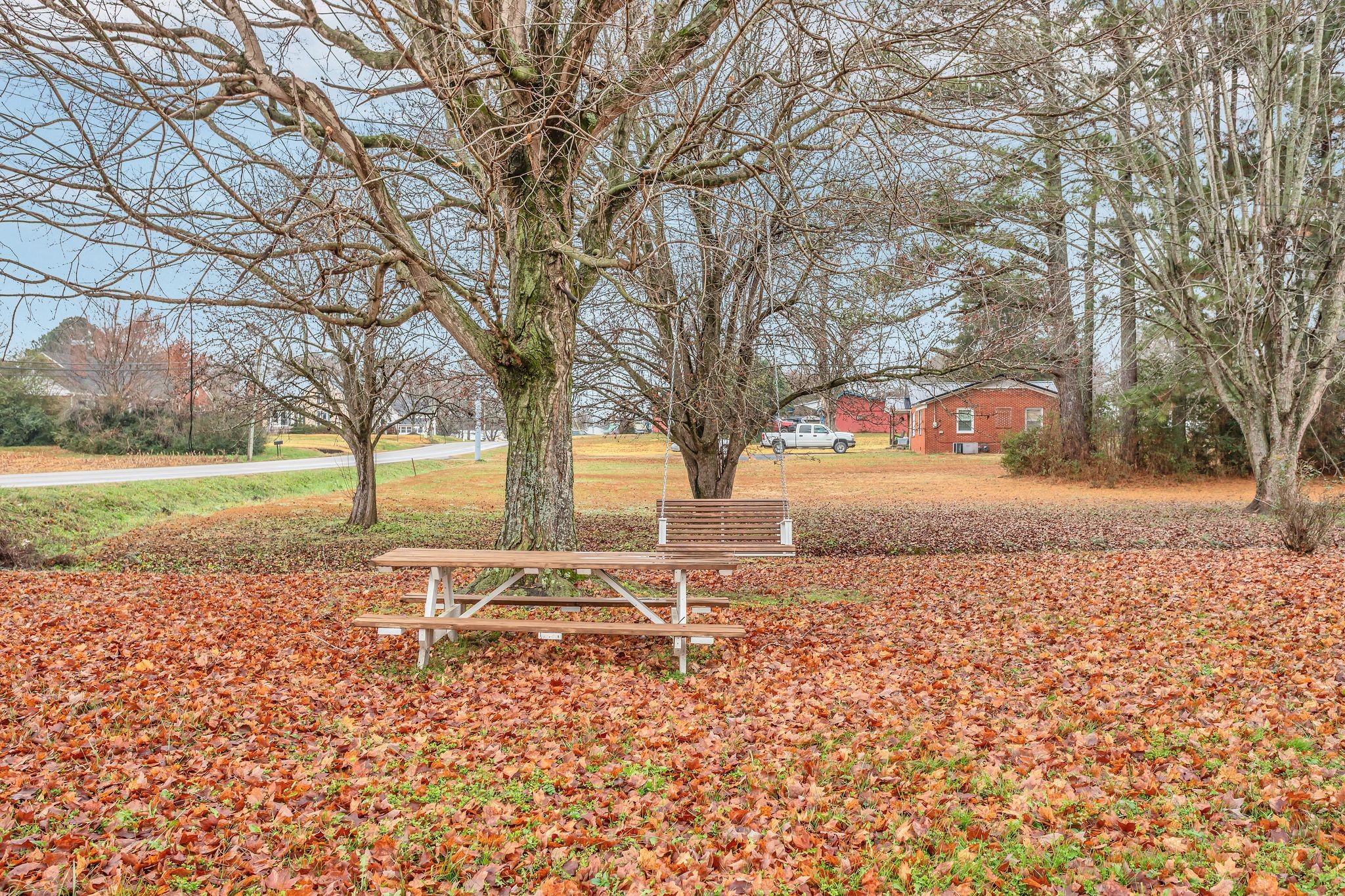 60 Main Street Ethridge, TN 38456 - Photo 4 of 25 a view of a yard with tree s