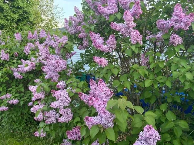 $569,000 | 6 Rice Terrace, Hampton, NH 03842