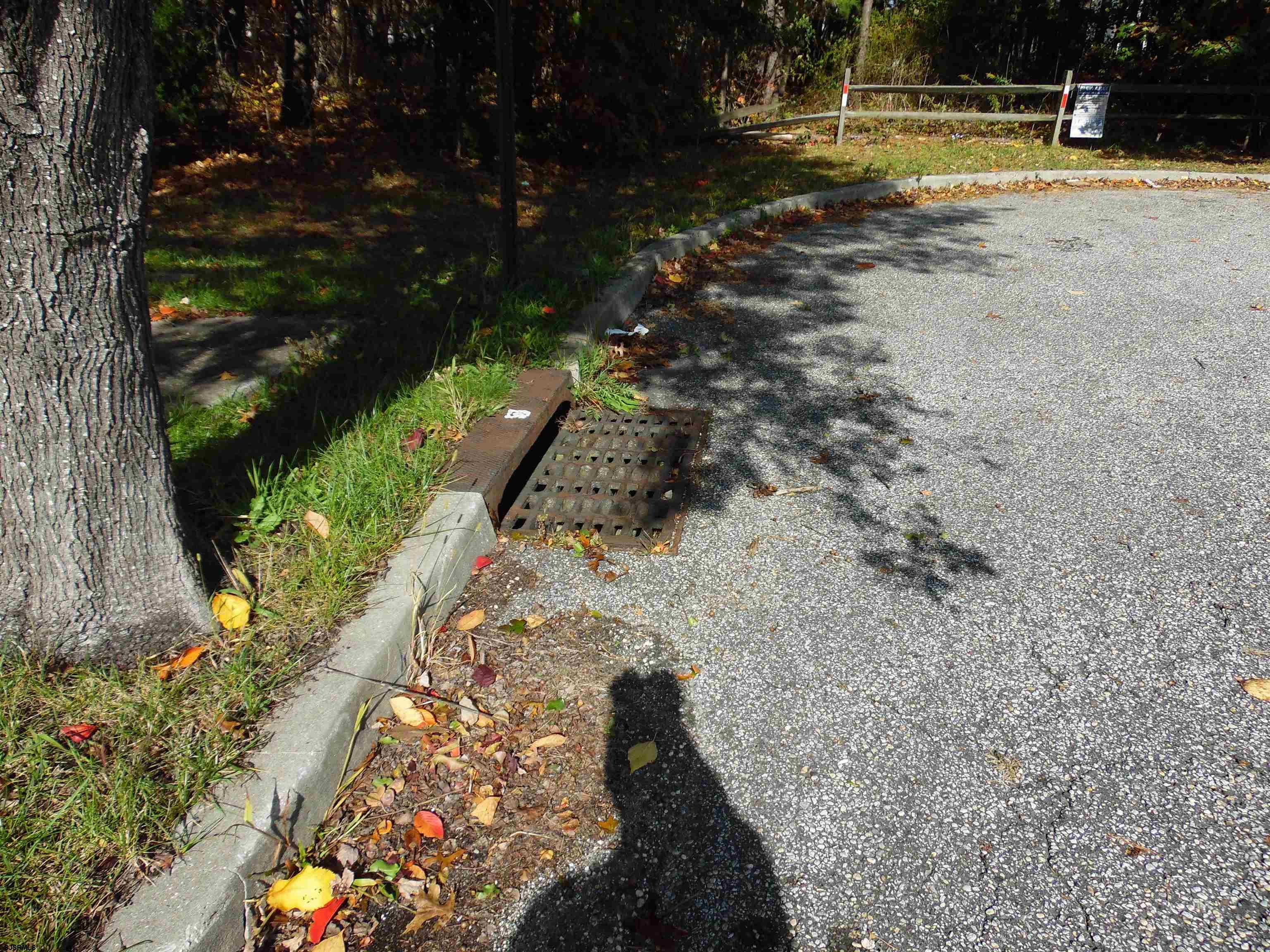0 Holly Avenue Galloway Township, NJ 08205 - Photo 3 of 14 a view of a yard with swimming pool