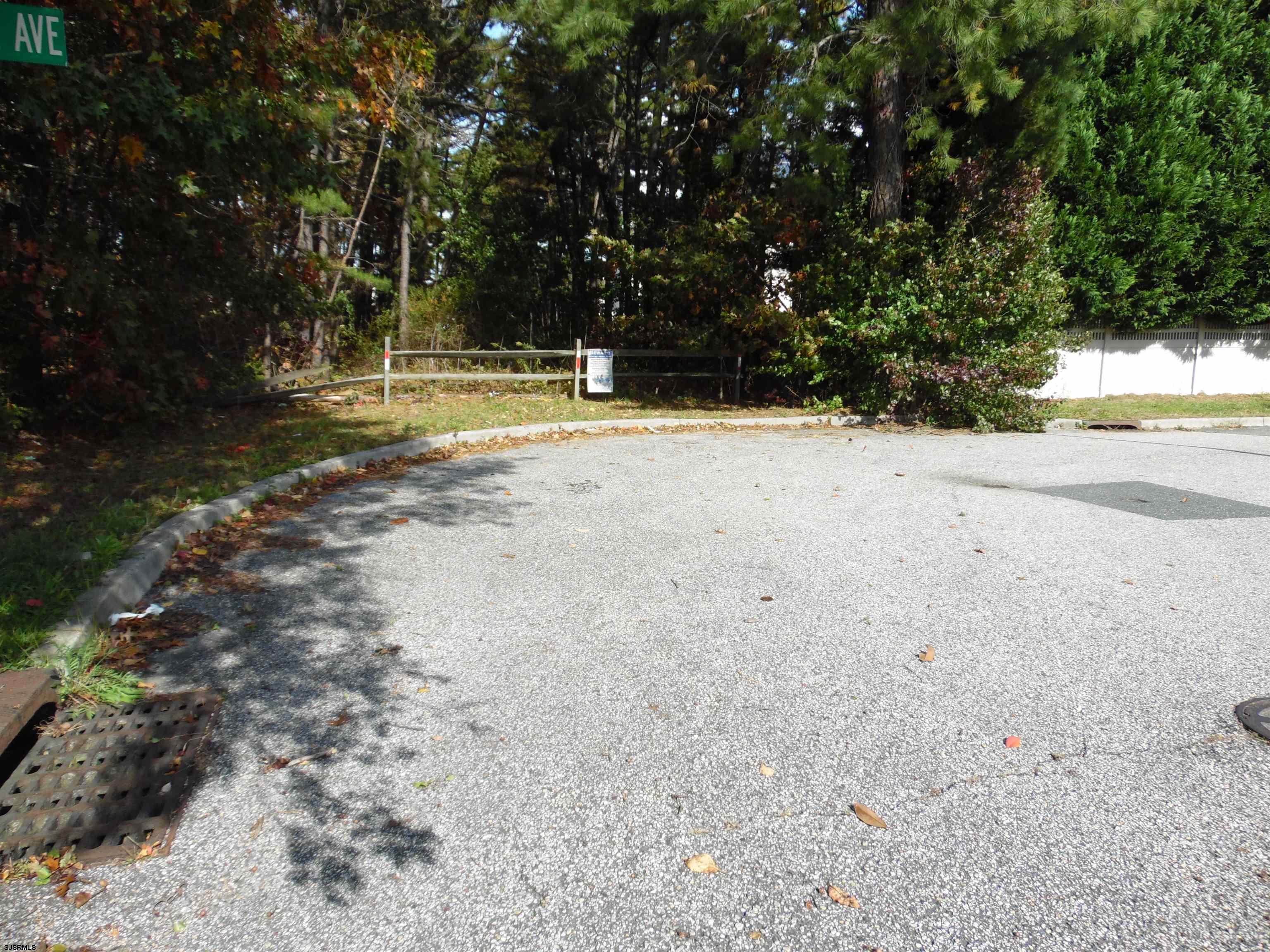 0 South Holly Avenue Galloway Township, NJ 08205 - Photo 4 of 14 a view of yard with trees
