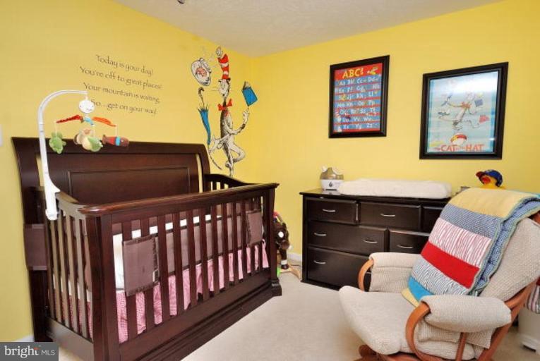 1679 Fieldthorn Drive Reston, VA 20194 - Photo 2 of 11 Bedroom #2