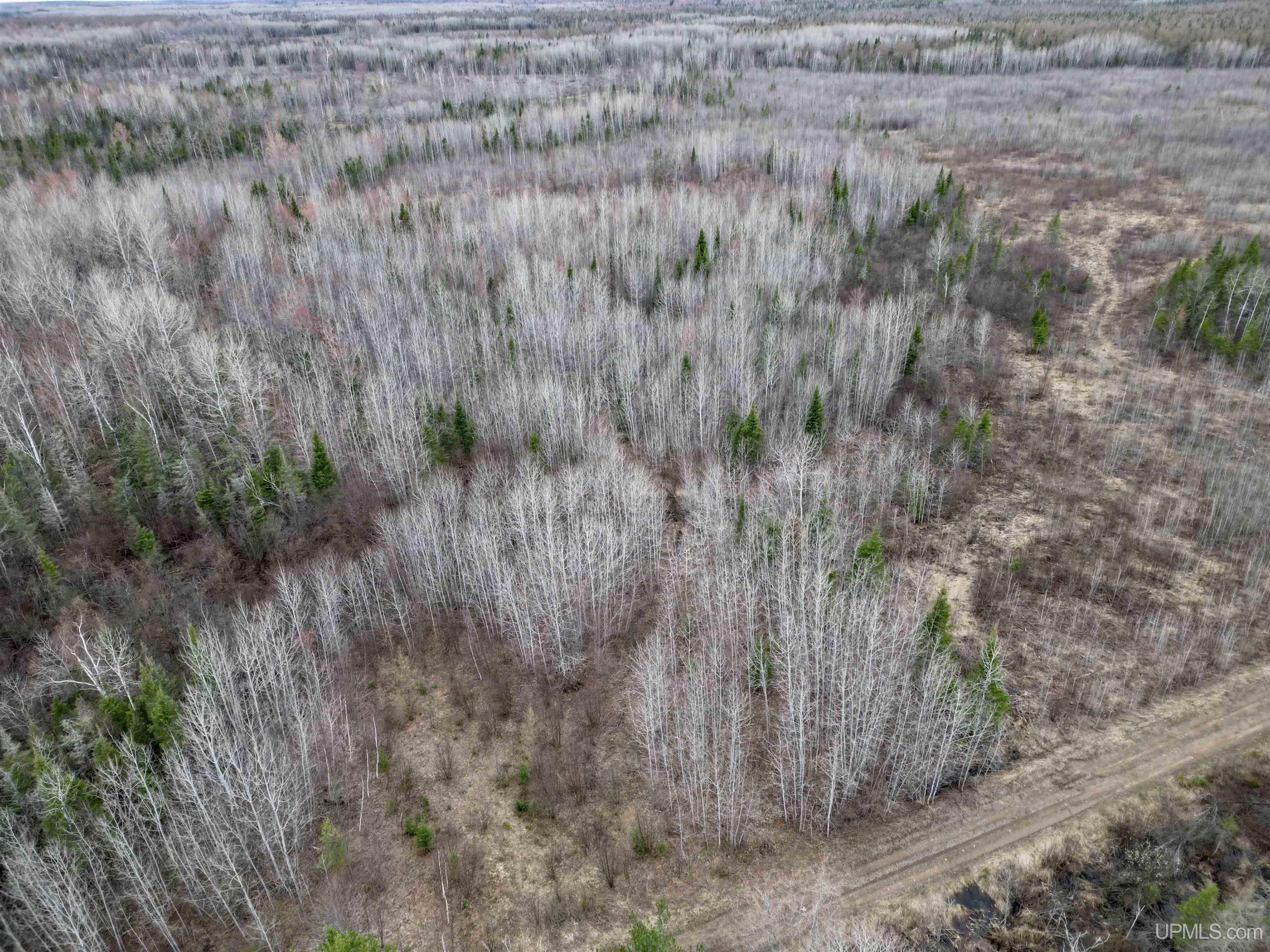 Tbd North Rock 38th Rd Se 40 Road Rock, MI 49880 - Photo 22 of 25