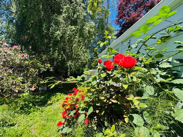 $444,000 | 369 H Street, Arcata, CA 95521