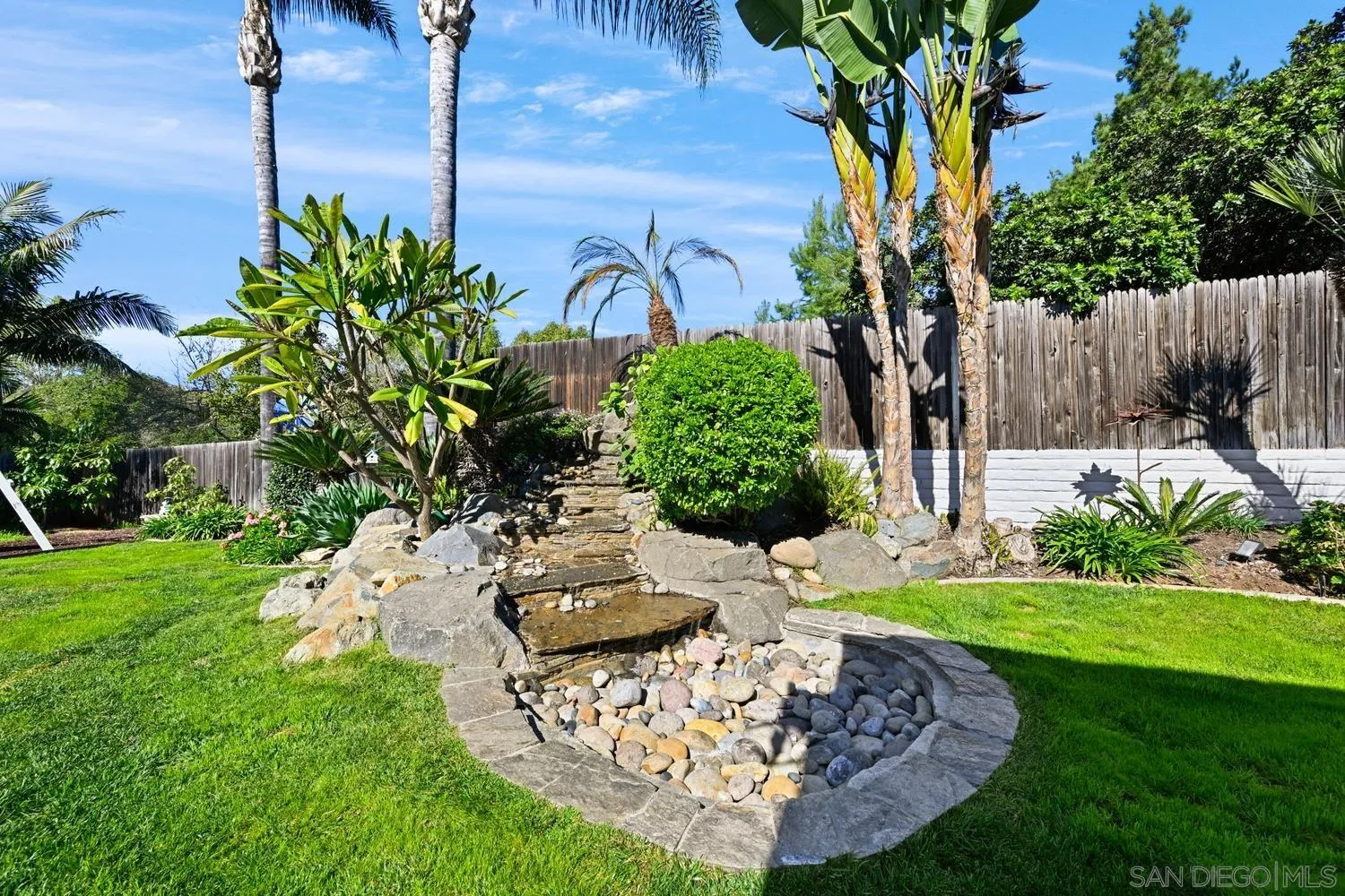 944 Hillhaven Road Escondido, CA 92027 - Photo 27 of 31 a view of a backyard with plants and a tree