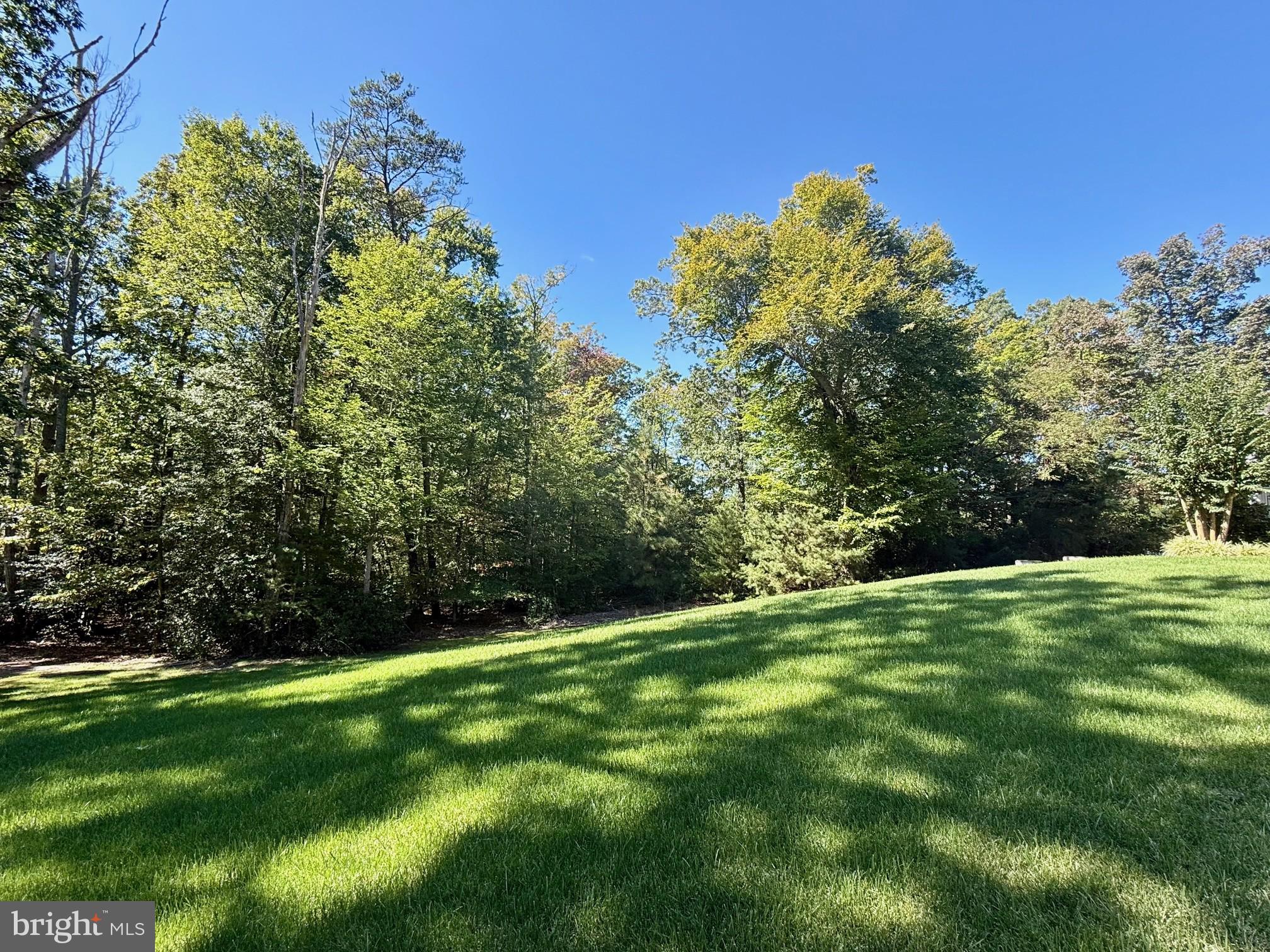 23531 Myrtle Point Road California, MD 20619 - Photo 42 of 50 Front yard