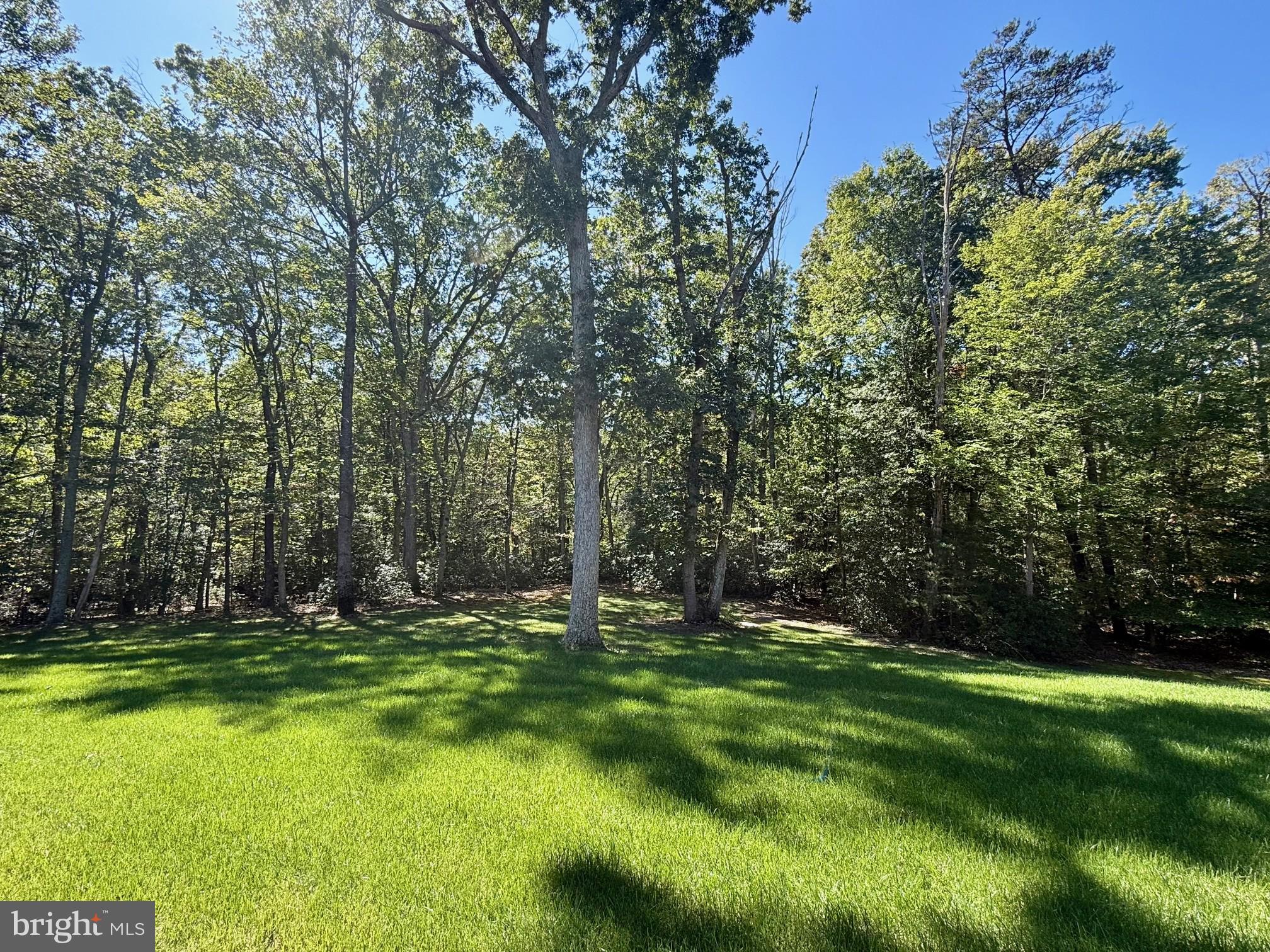 23531 Myrtle Point Road California, MD 20619 - Photo 43 of 50 Front yard