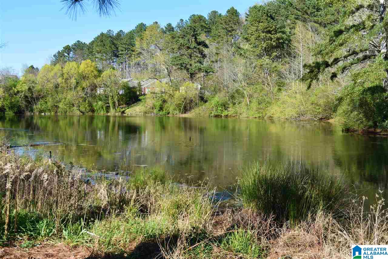 2005 Amanda Lane Birmingham, AL 35235 - Photo 31 of 31
