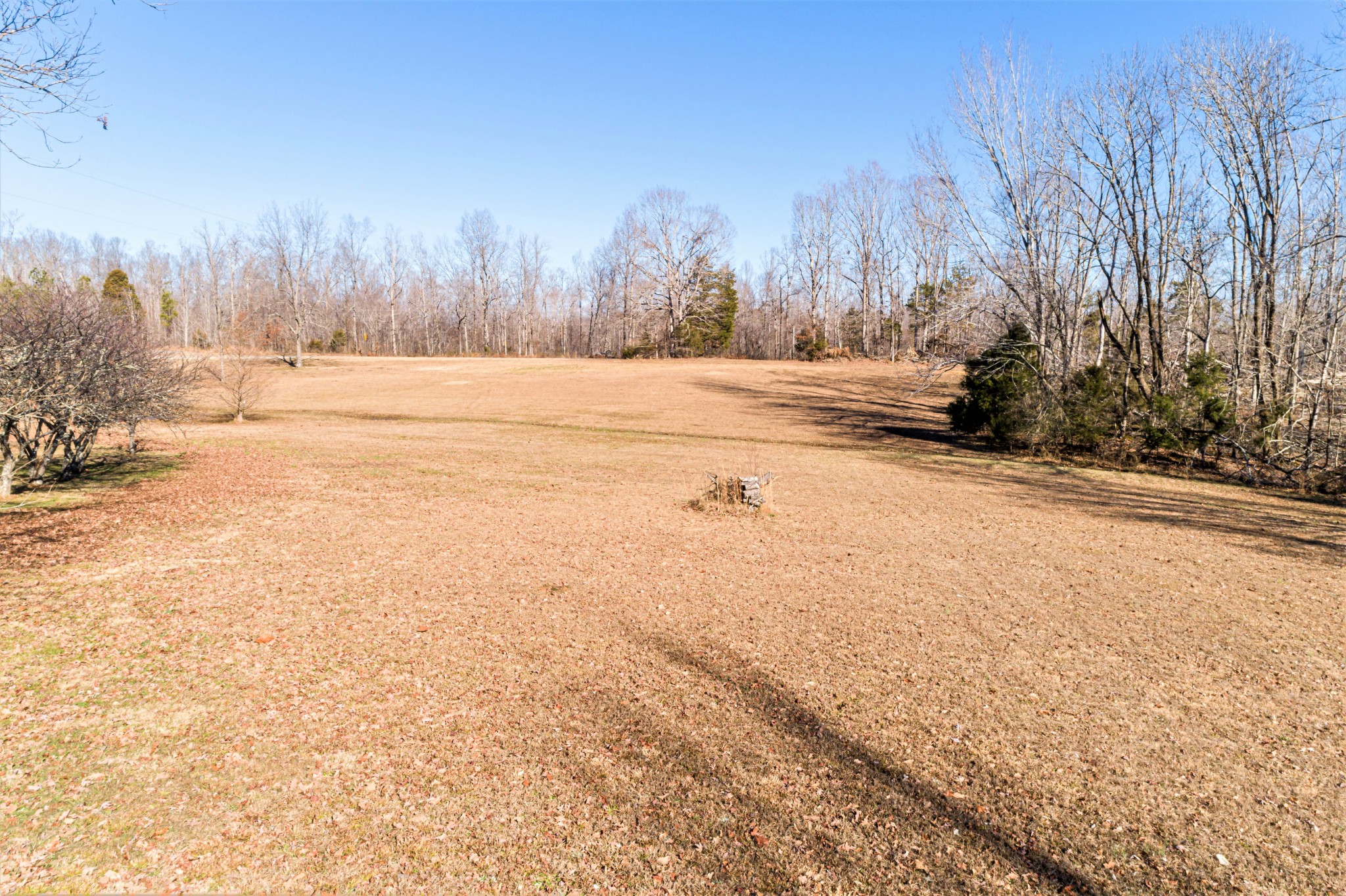 2561 Largo Road Decaturville, TN 38329 - Photo 25 of 47 Gallery Image 25