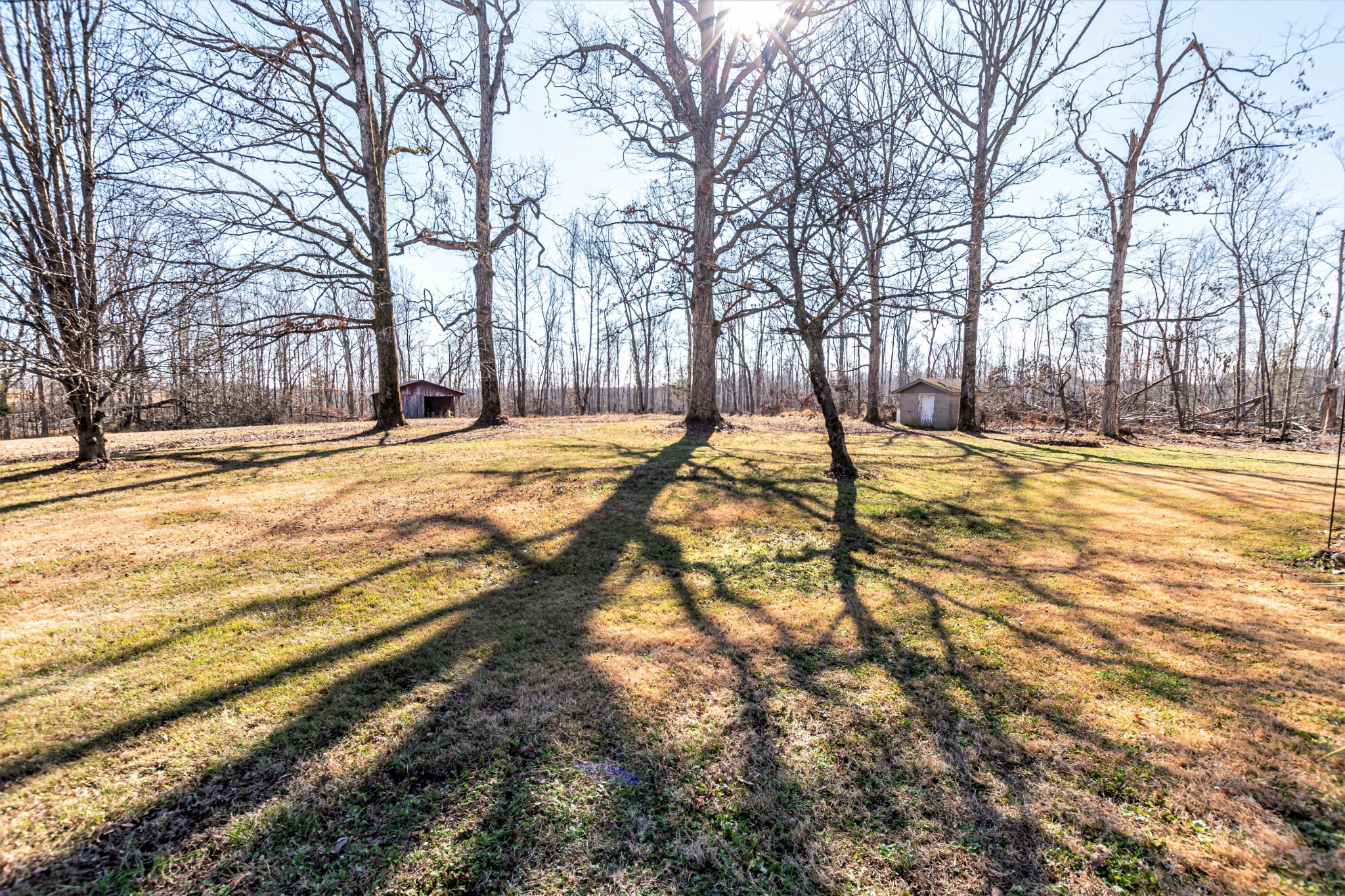 2561 Largo Road Decaturville, TN 38329 - Photo 38 of 47 Gallery Image 38