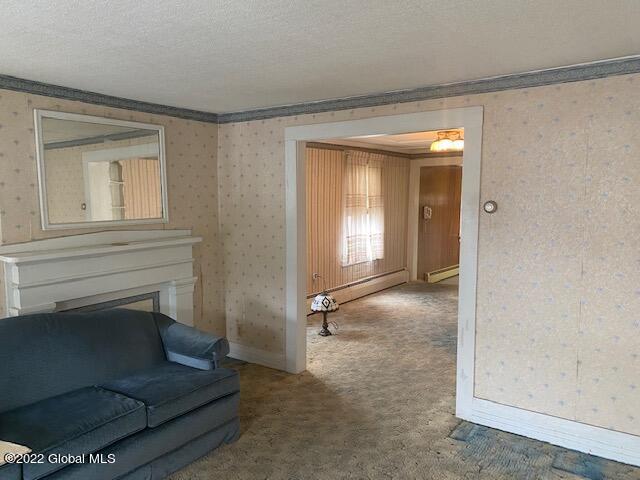 25 Ralph Street Ballston Spa, NY 12020 - Photo 5 of 42 IMG_5008