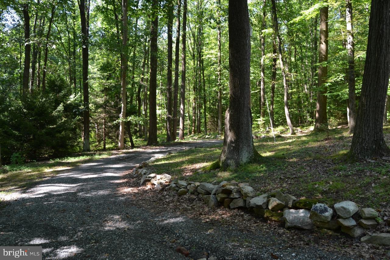 127 Captain Wolfe Road Barto, PA 19504 - Photo 11 of 41 Gallery Image 11