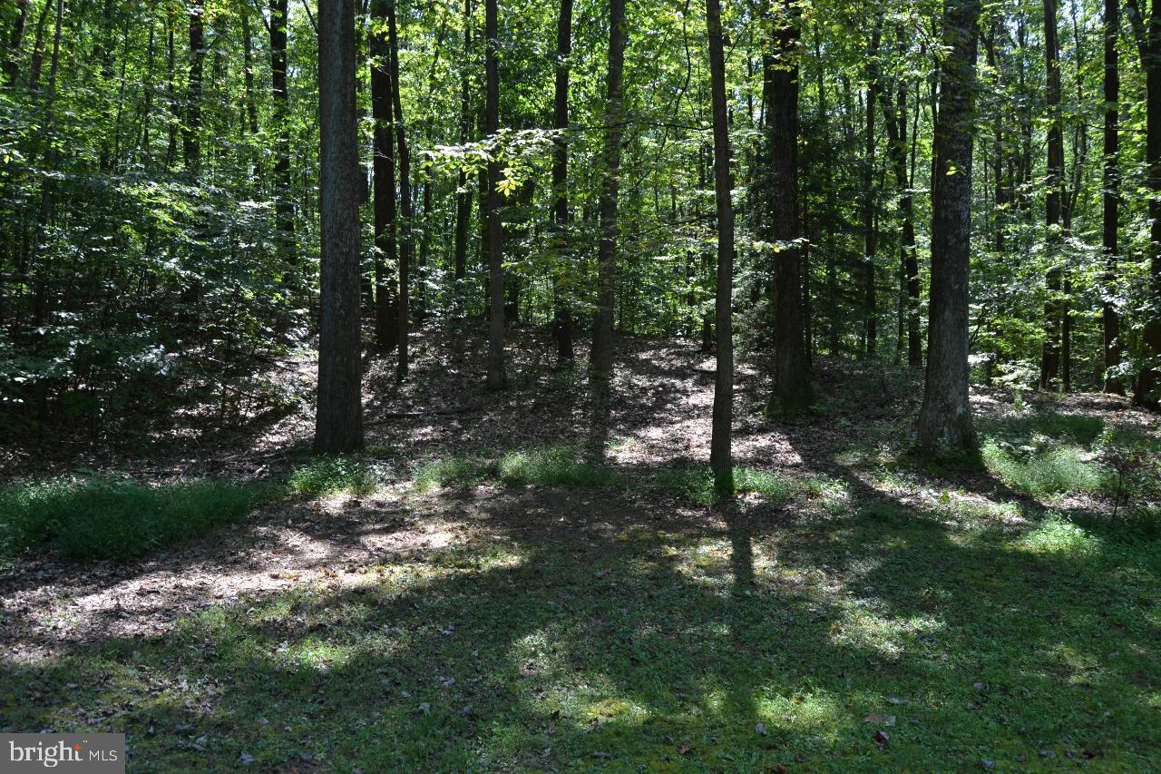 127 Captain Wolfe Road Barto, PA 19504 - Photo 20 of 41 Woods
