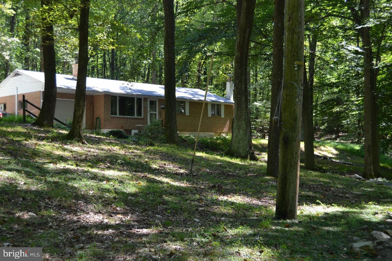 Front yard