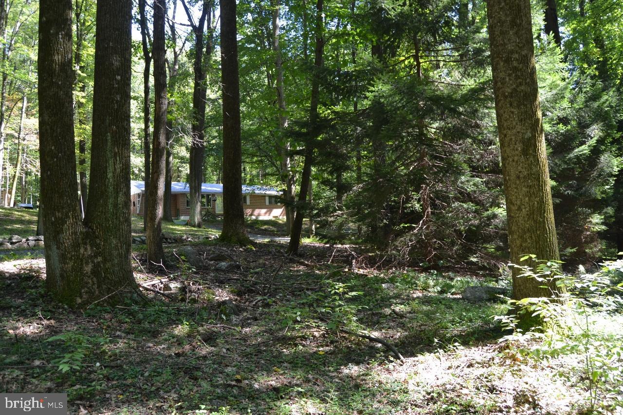 127 Captain Wolfe Road Barto, PA 19504 - Photo 9 of 41 Gallery Image 9