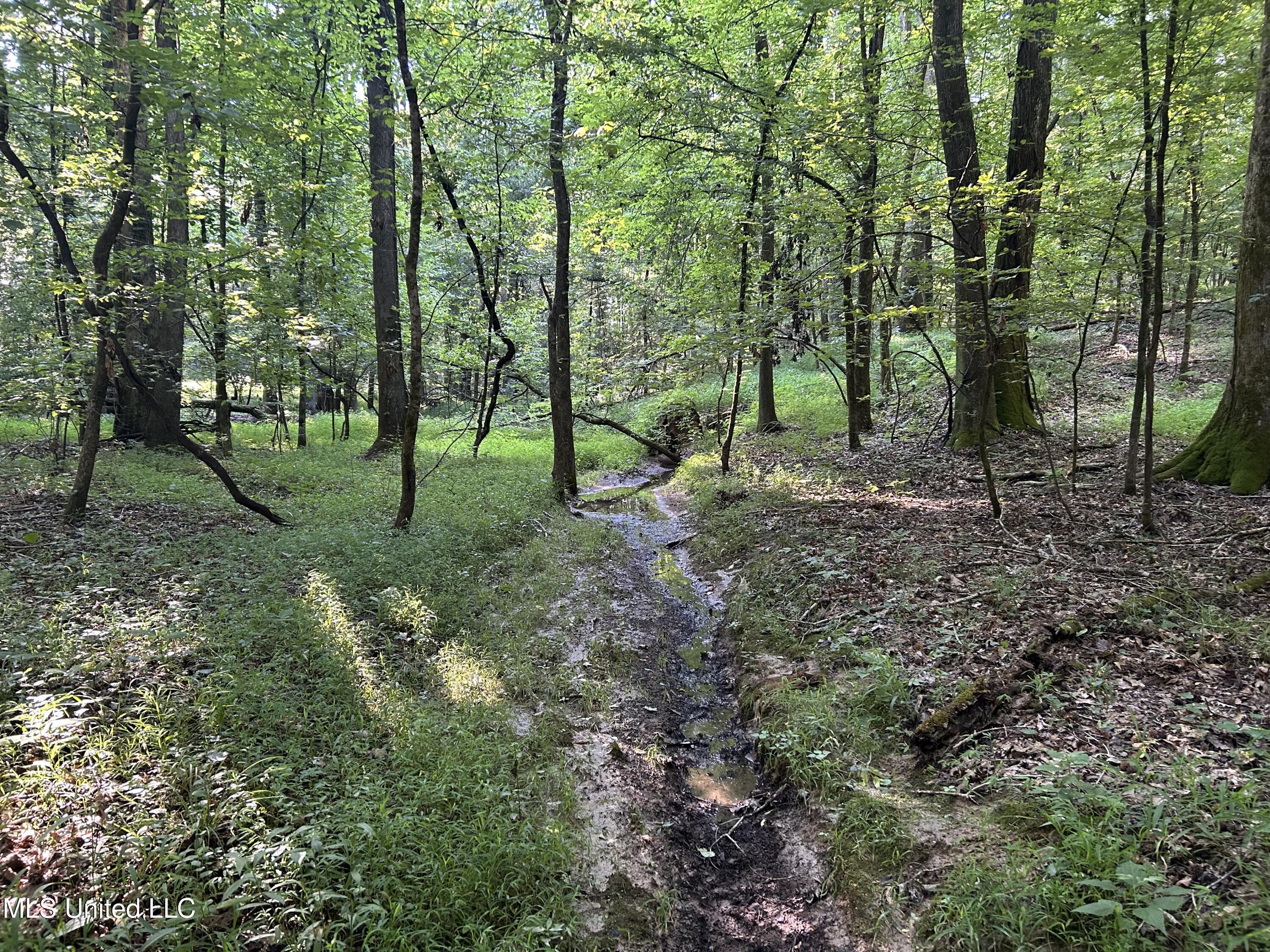 Avant Road Crenshaw, MS 38621 - Photo 11 of 40 Photo Jun 25 2025, 8 19 33 AM