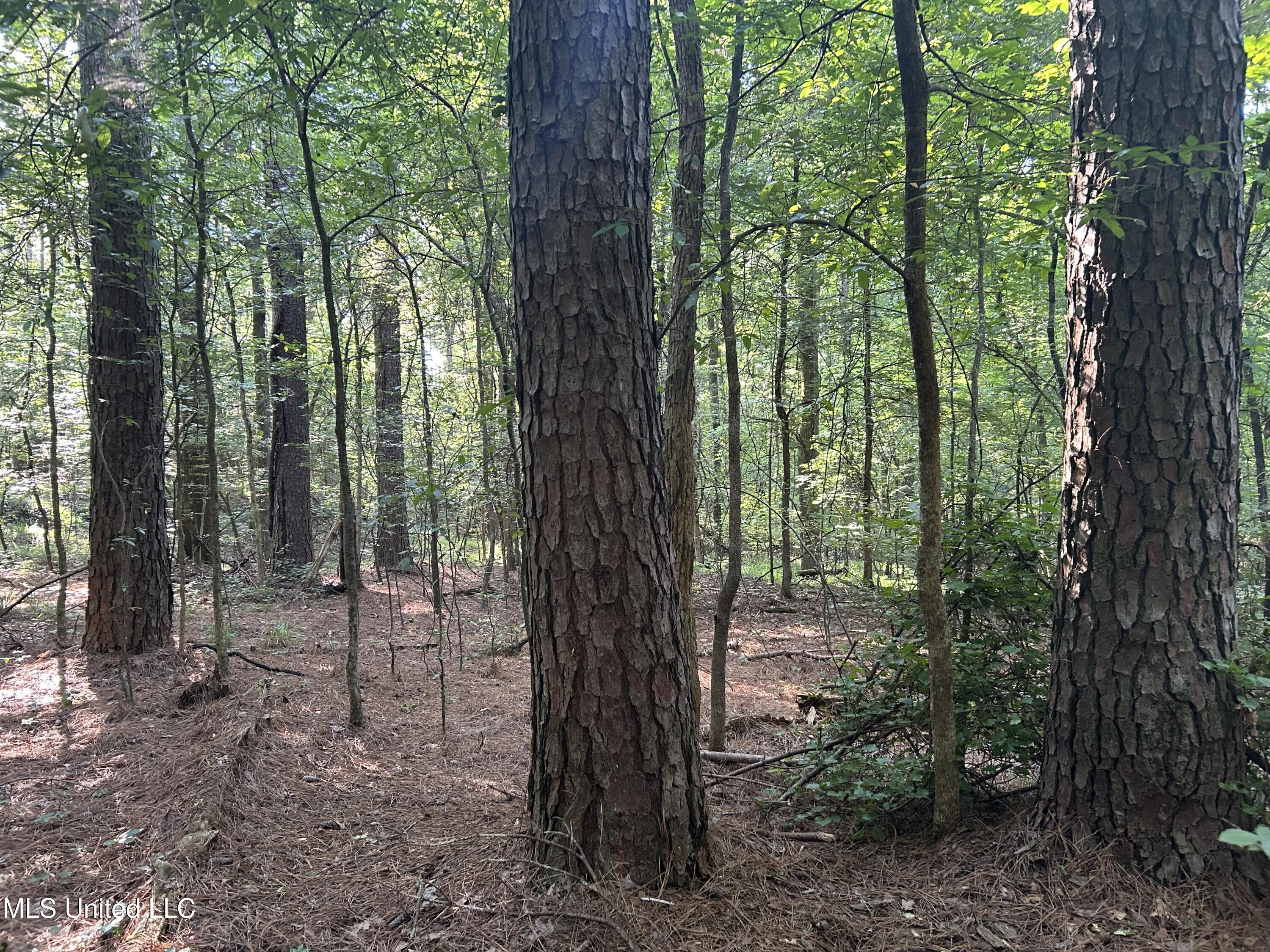 Avant Road Crenshaw, MS 38621 - Photo 29 of 40 Photo Jun 25 2025, 8 30 31 AM