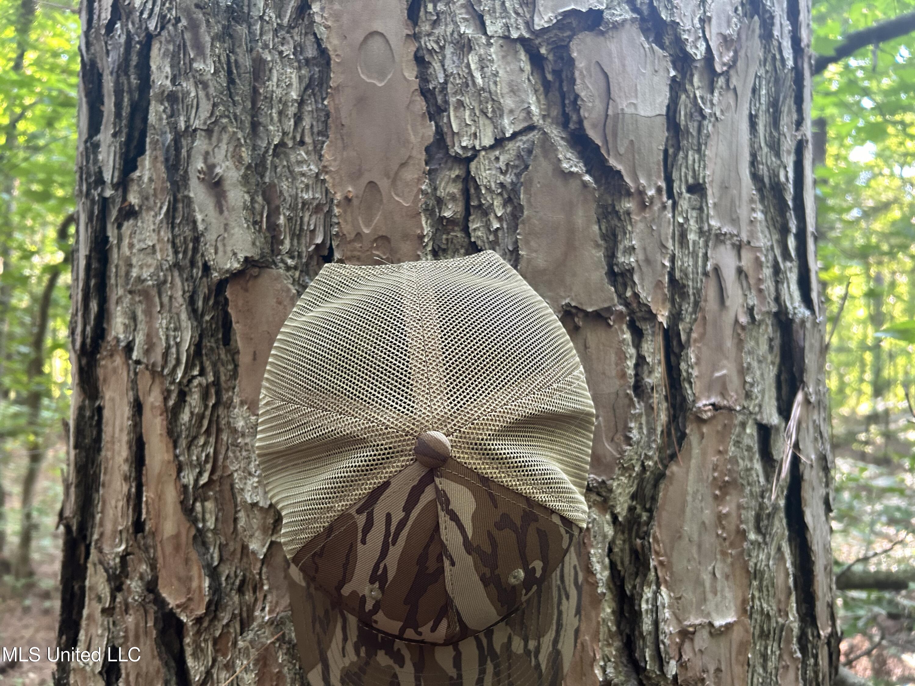 Avant Road Crenshaw, MS 38621 - Photo 35 of 40 Photo Jun 25 2025, 8 36 02 AM