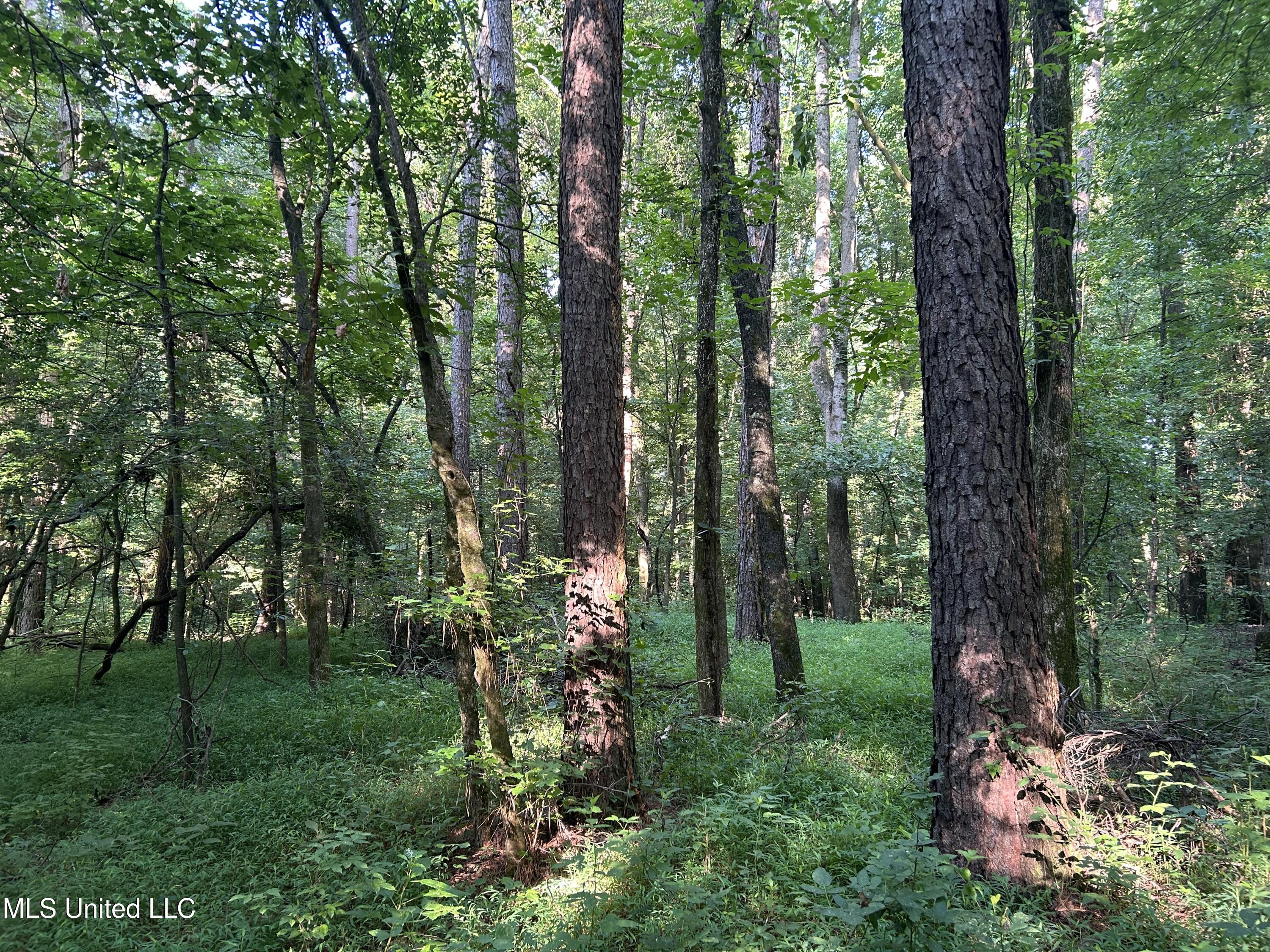 Avant Road Crenshaw, MS 38621 - Photo 5 of 40 Photo Jun 25 2025, 8 17 28 AM