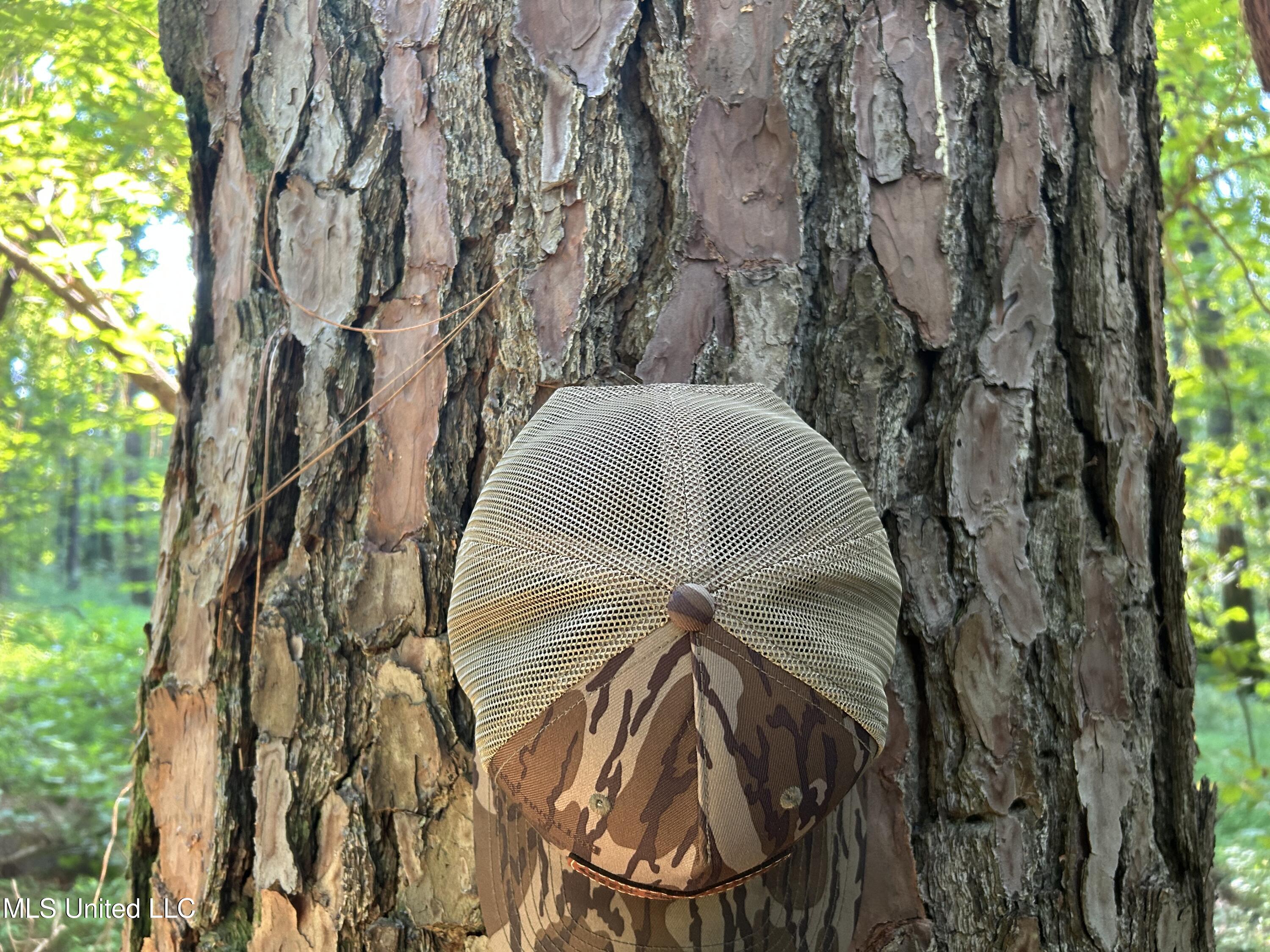 Avant Road Crenshaw, MS 38621 - Photo 8 of 40 Photo Jun 25 2025, 8 18 35 AM