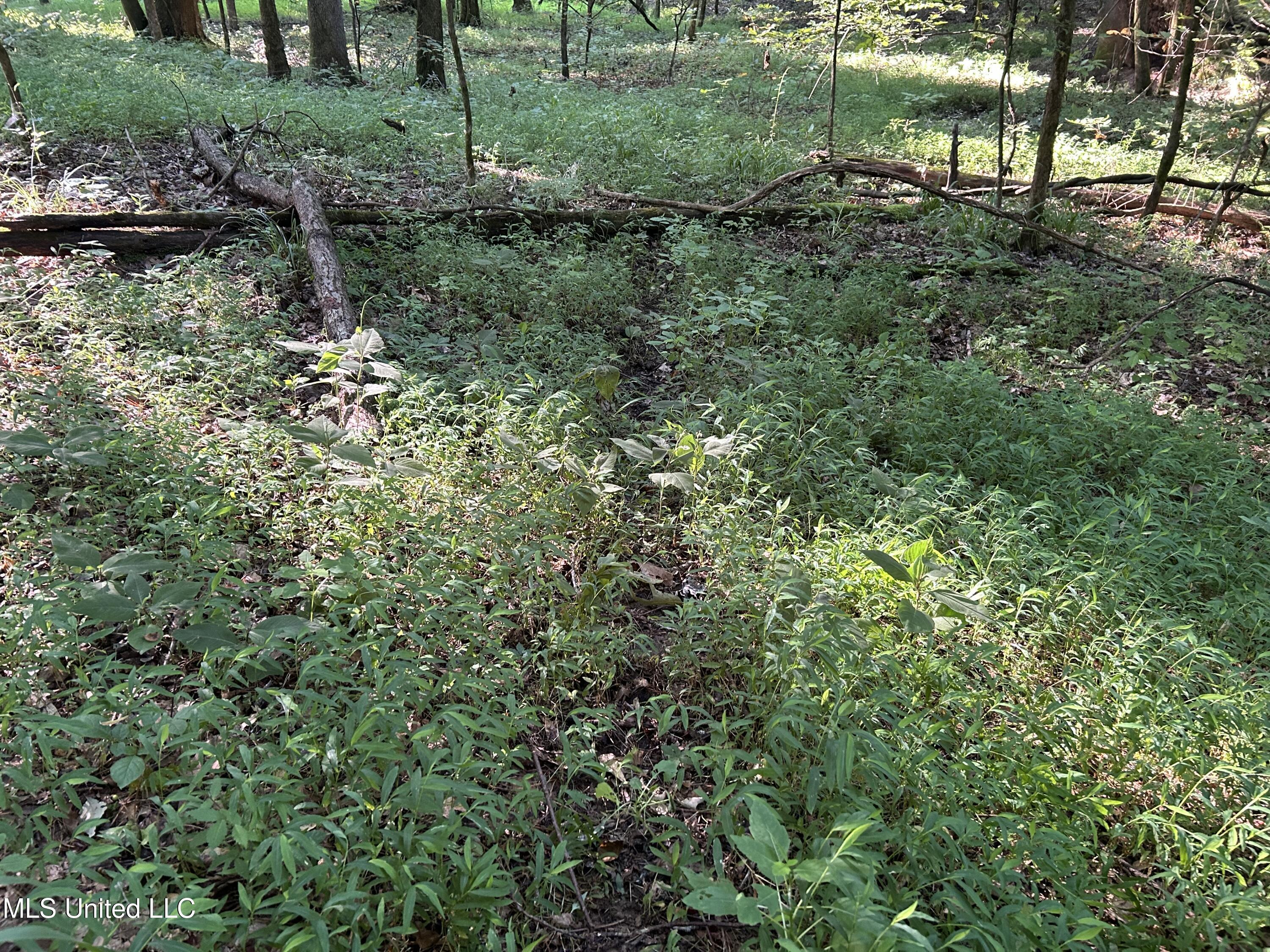 Avant Road Crenshaw, MS 38621 - Photo 10 of 40 Photo Jun 25 2025, 8 19 07 AM