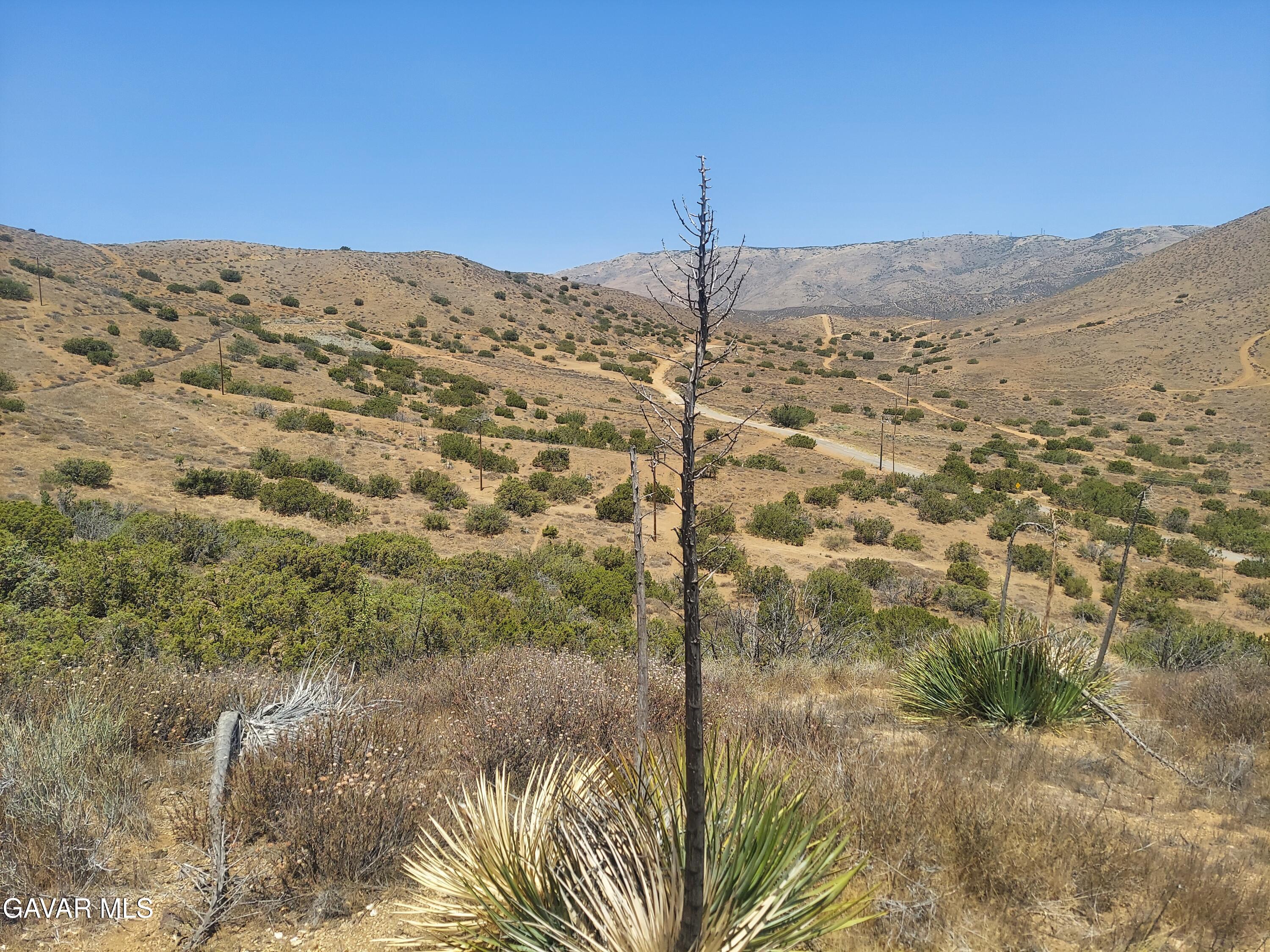 1 Governor Mine Road Acton, CA 93510 - Photo 12 of 41 a view of a road from a yard