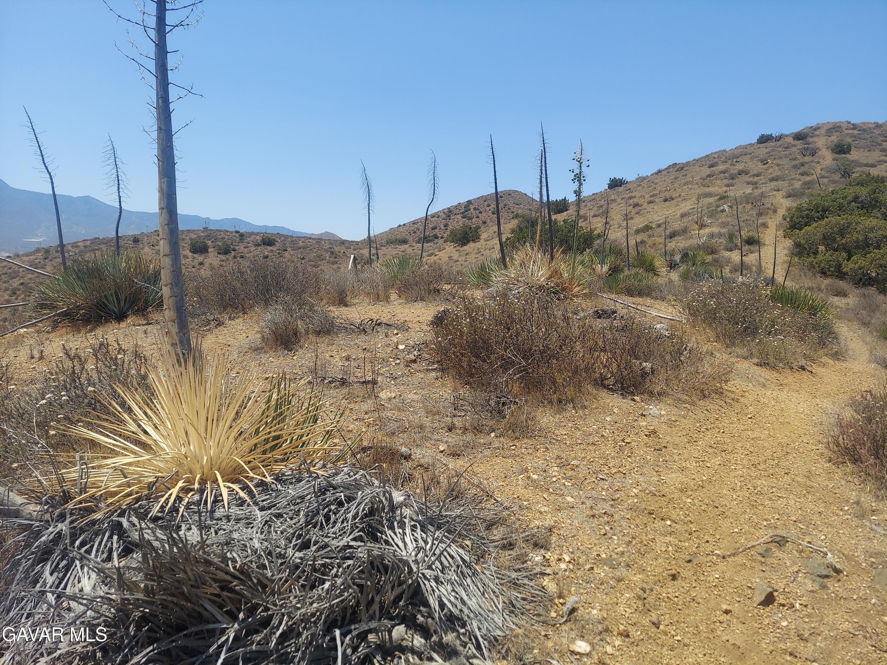 1 Governor Mine Road Acton, CA 93510 - Photo 15 of 41 a view of a dry yard