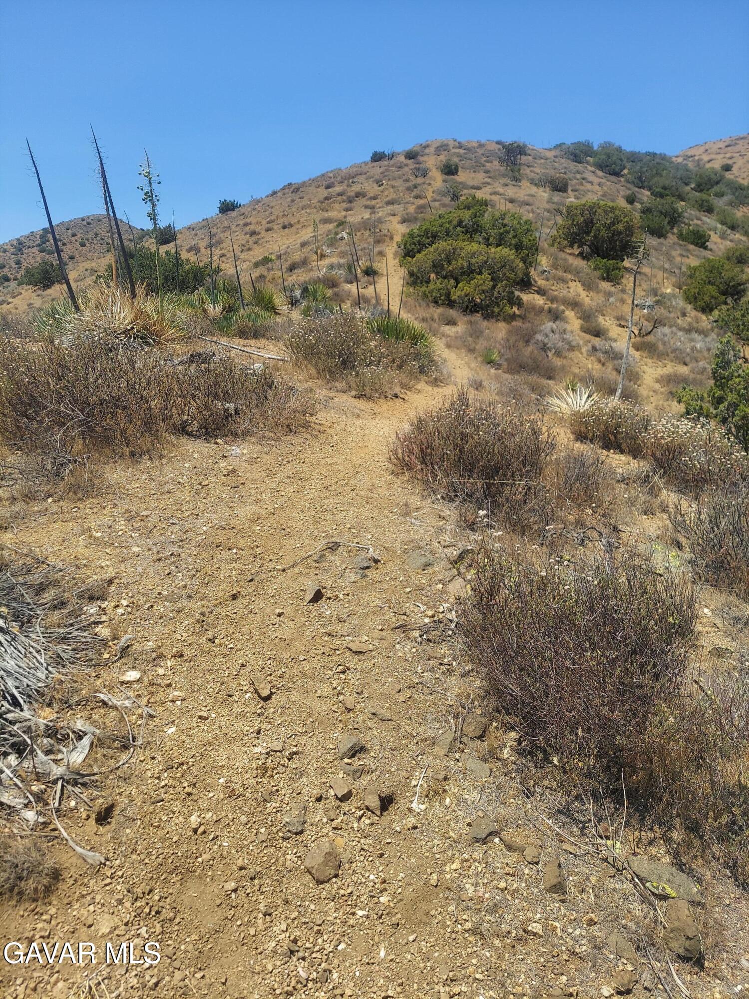 1 Governor Mine Road Acton, CA 93510 - Photo 20 of 41 a view of a field