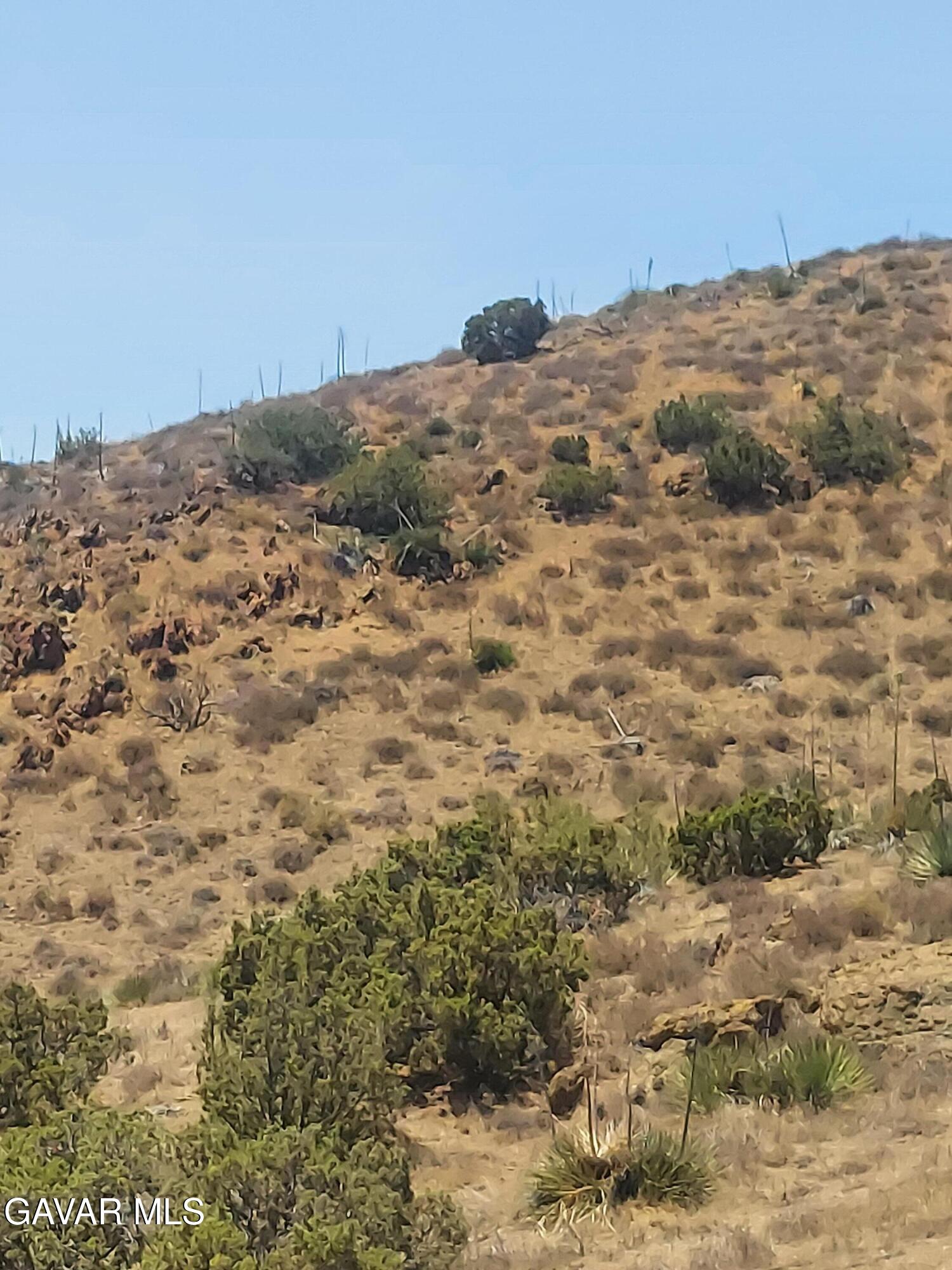 1 Governor Mine Road Acton, CA 93510 - Photo 22 of 41 a view of mountains in the background