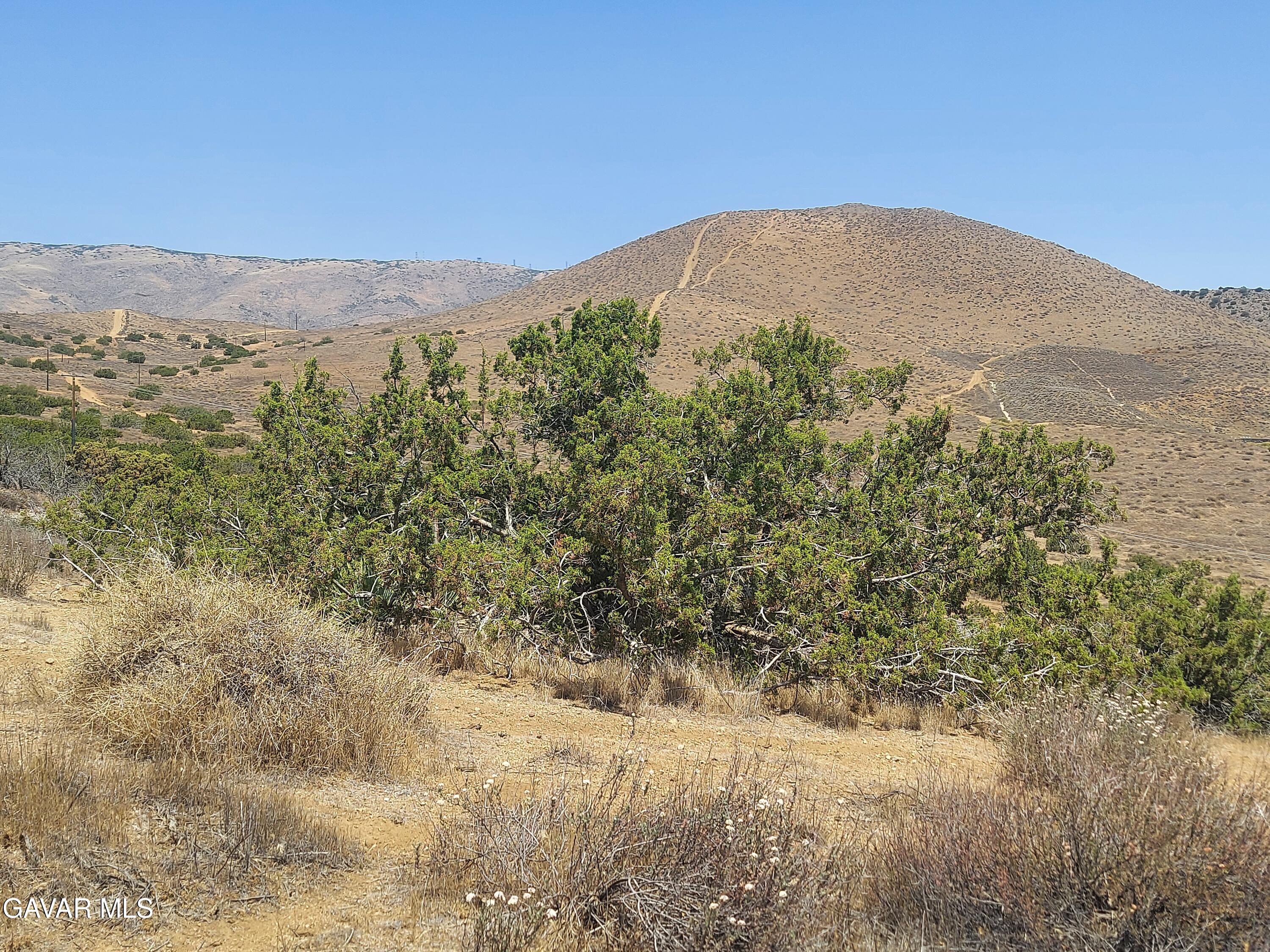 1 Governor Mine Road Acton, CA 93510 - Photo 26 of 41 a view of a mountain in the distance in a field