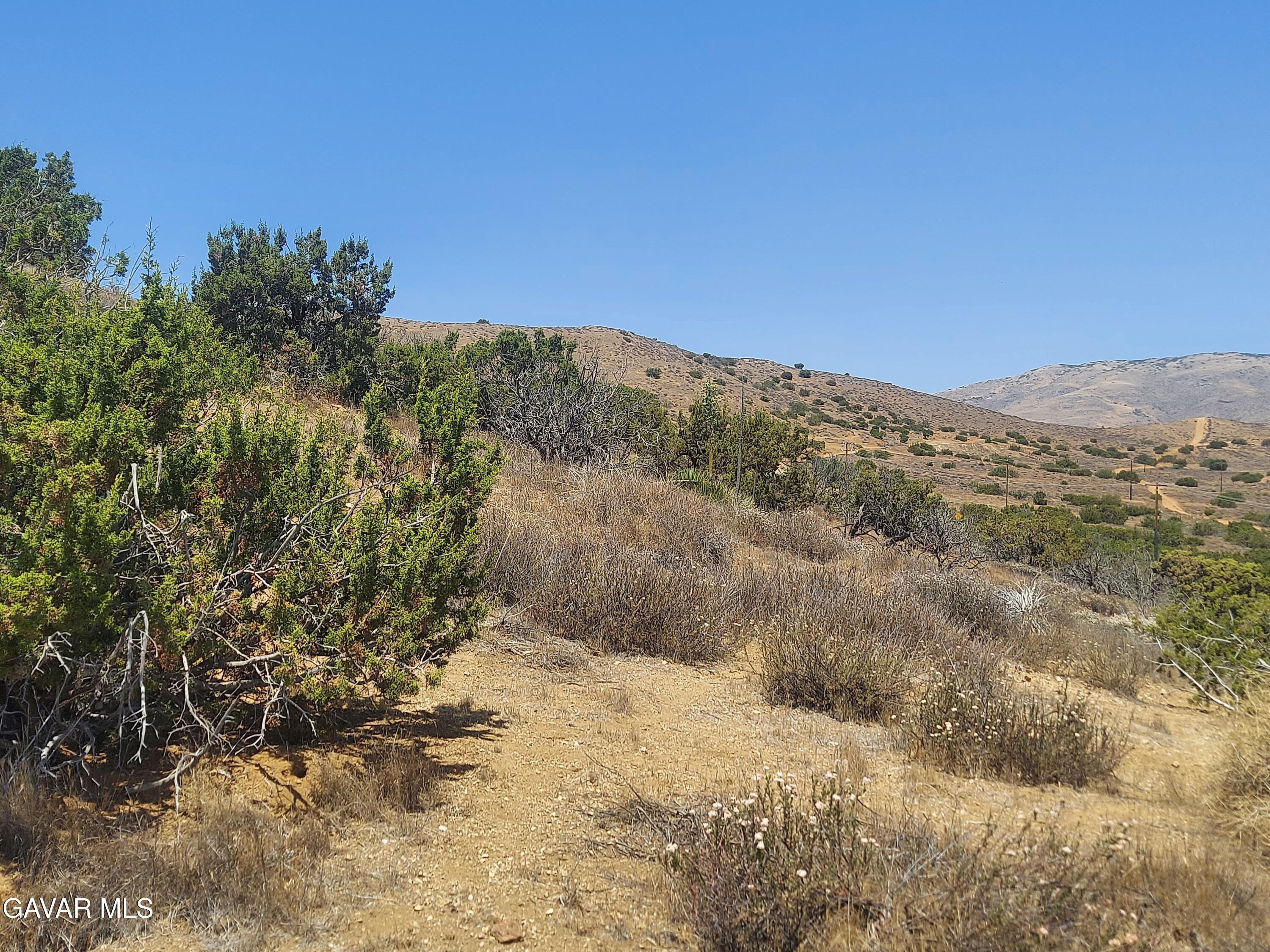 1 Governor Mine Road Acton, CA 93510 - Photo 27 of 41 a view of a dry yard with mountains in the background