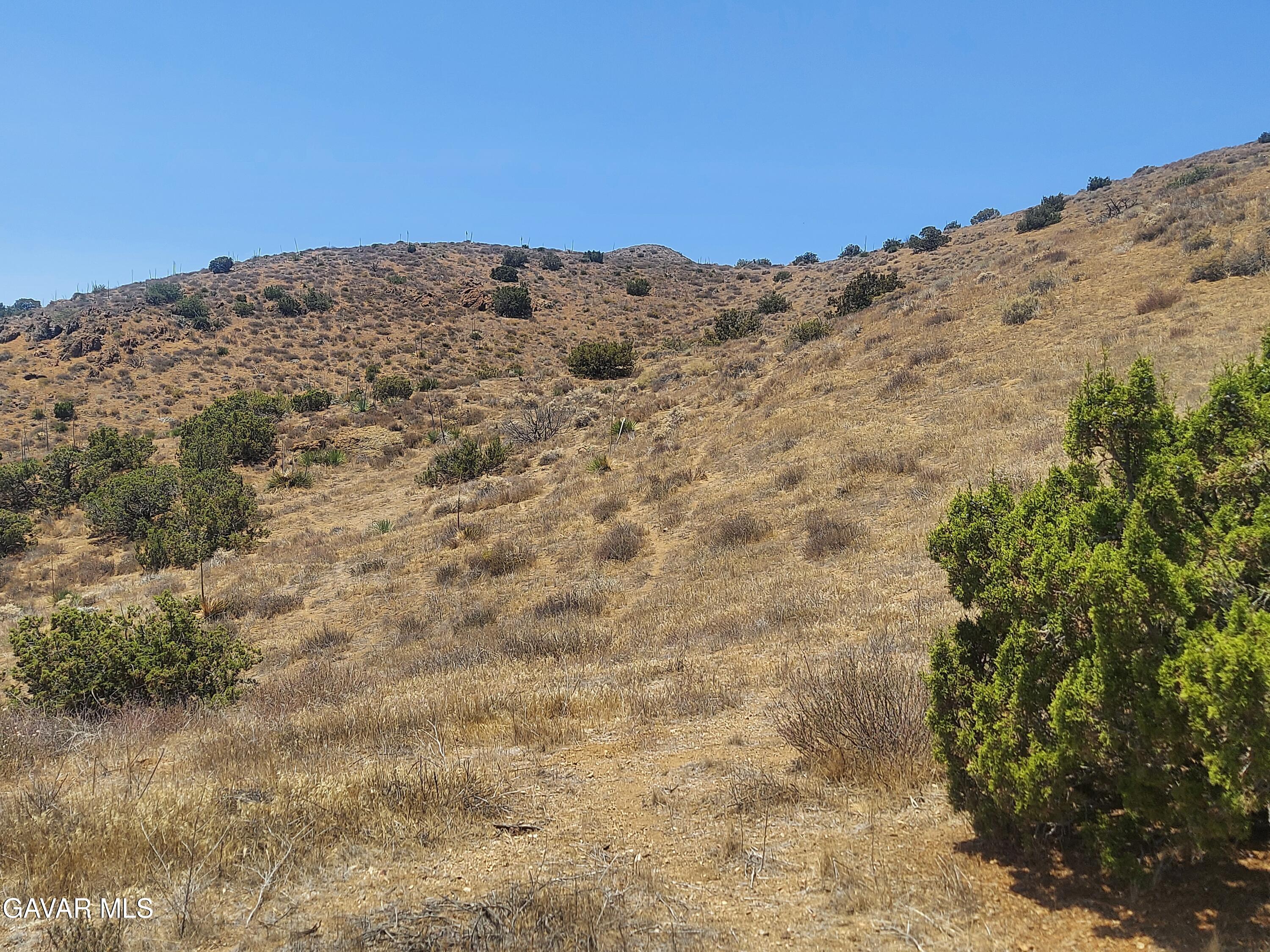 1 Governor Mine Road Acton, CA 93510 - Photo 29 of 41 a view of a mountain view