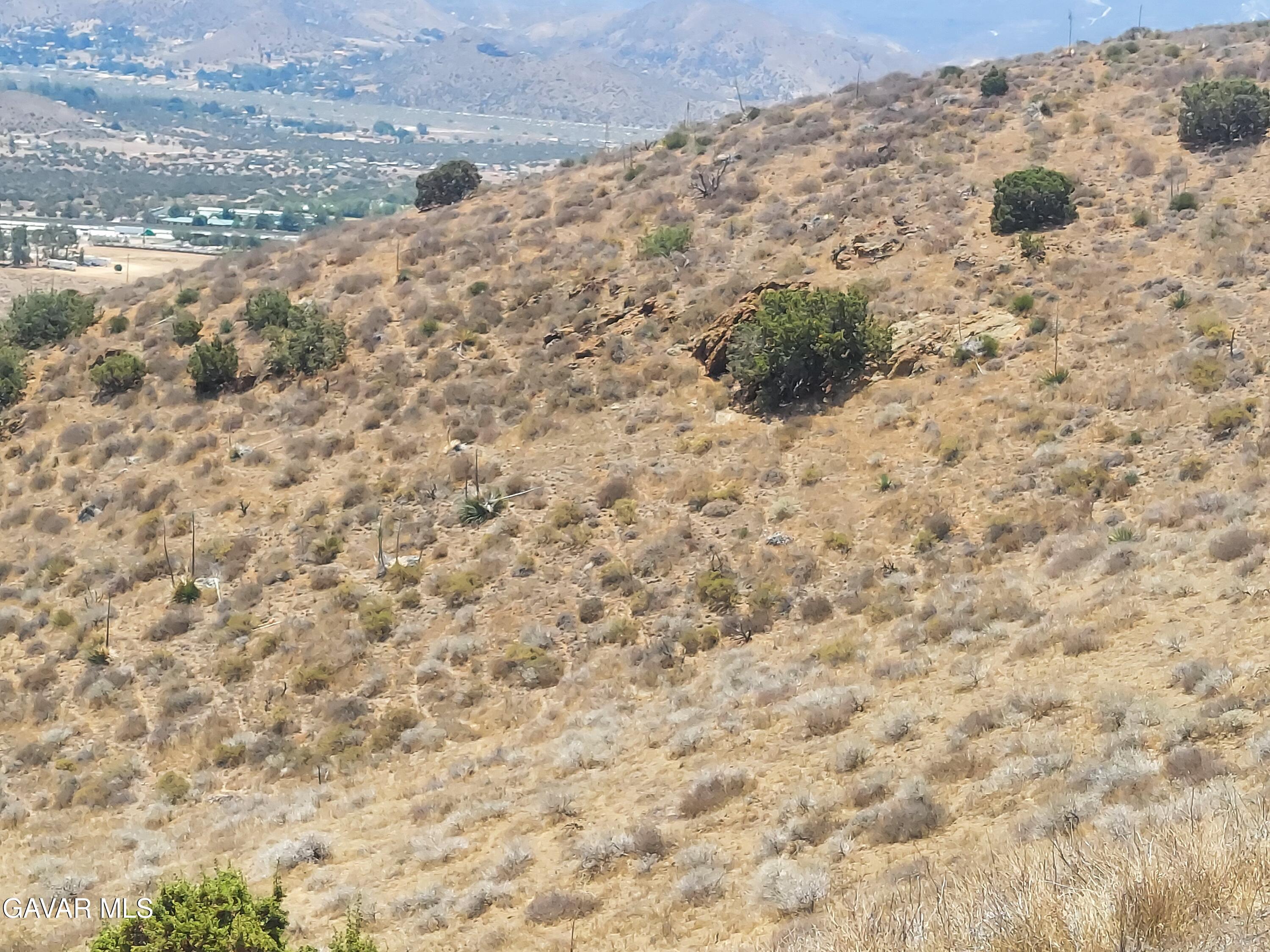 1 Governor Mine Road Acton, CA 93510 - Photo 6 of 41 a view of a dry yard with wooden floor
