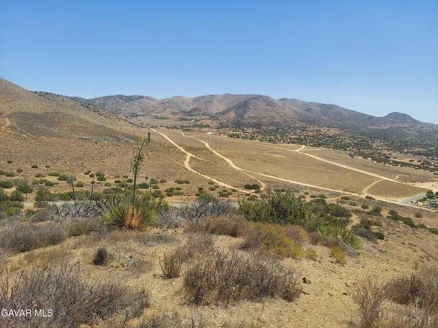 a view of a road from a yard